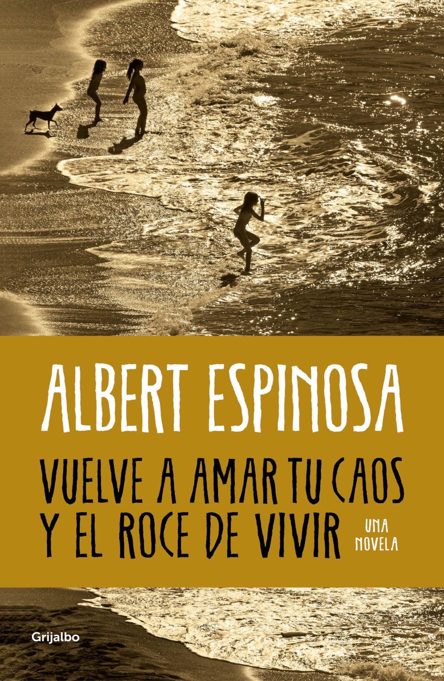 Libro: Vuelve a amar tu caos y el roce de vivir (Albert Espinosa)