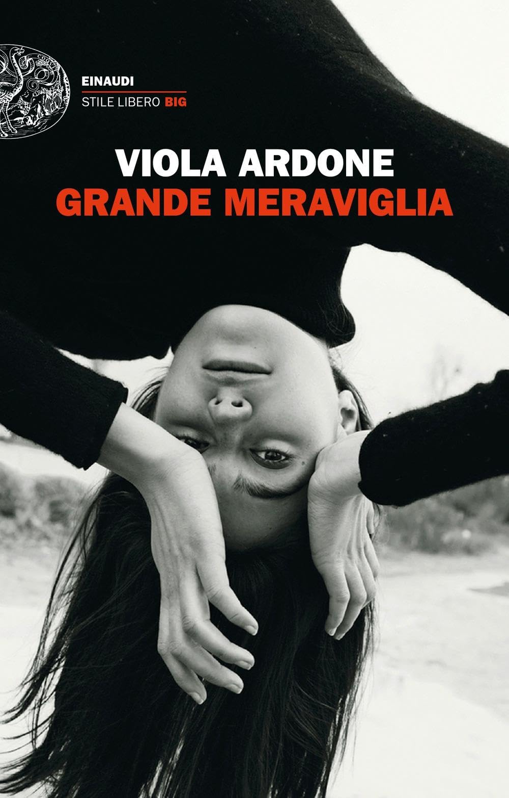 Libro: Grande meraviglia