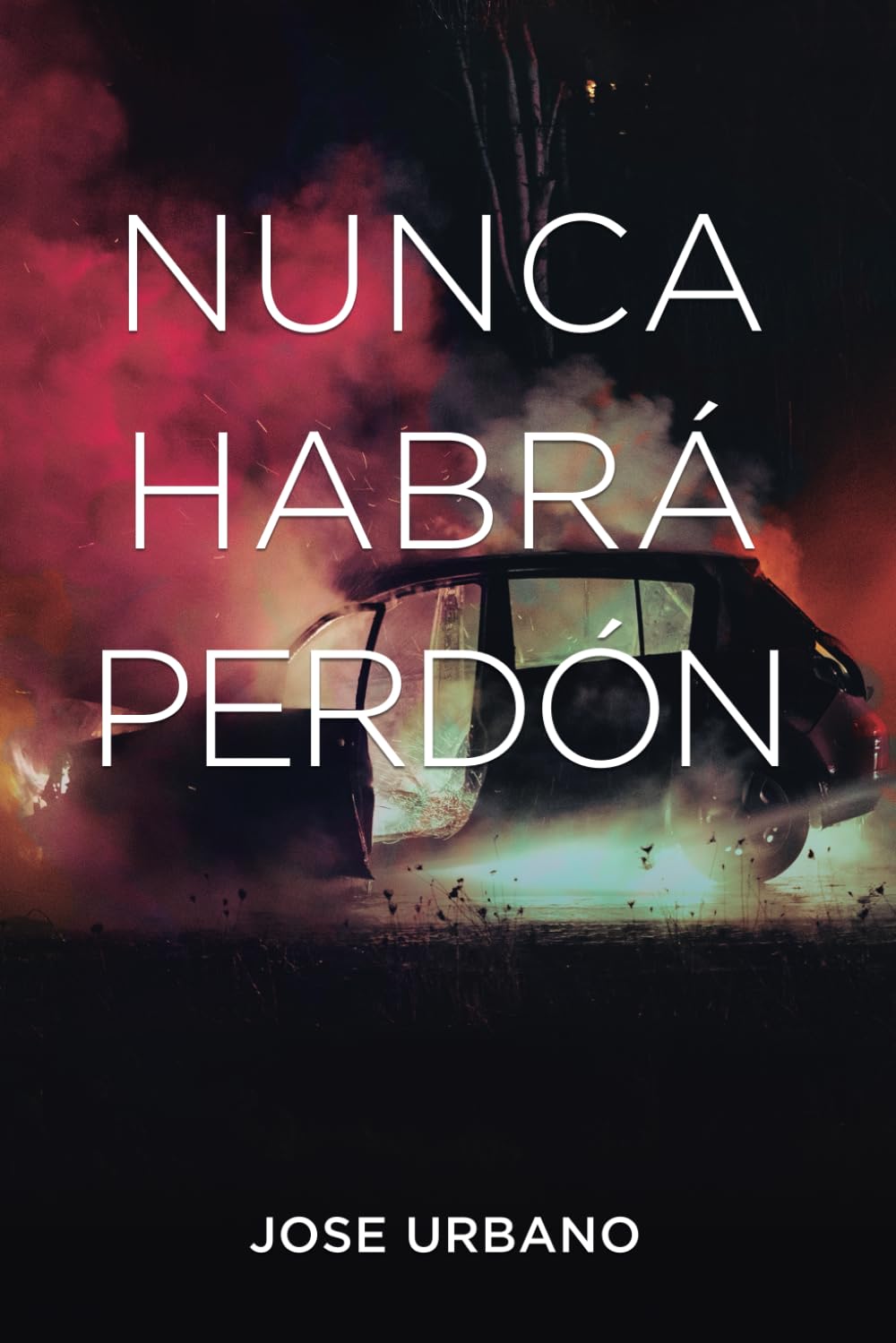 Libro: Nunca Habrá Perdón (Trilogía Nunca Digas Nunca) (Spanish Edition)