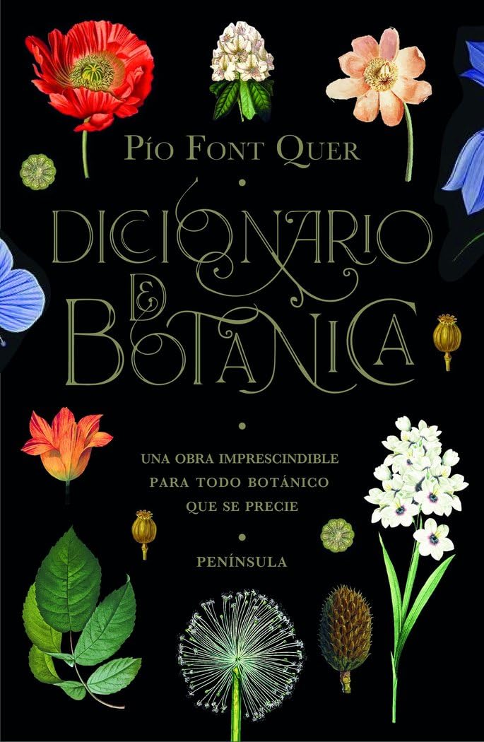 Libro: Diccionario de botánica: Una obra imprescindible para todo botánico que se precie
