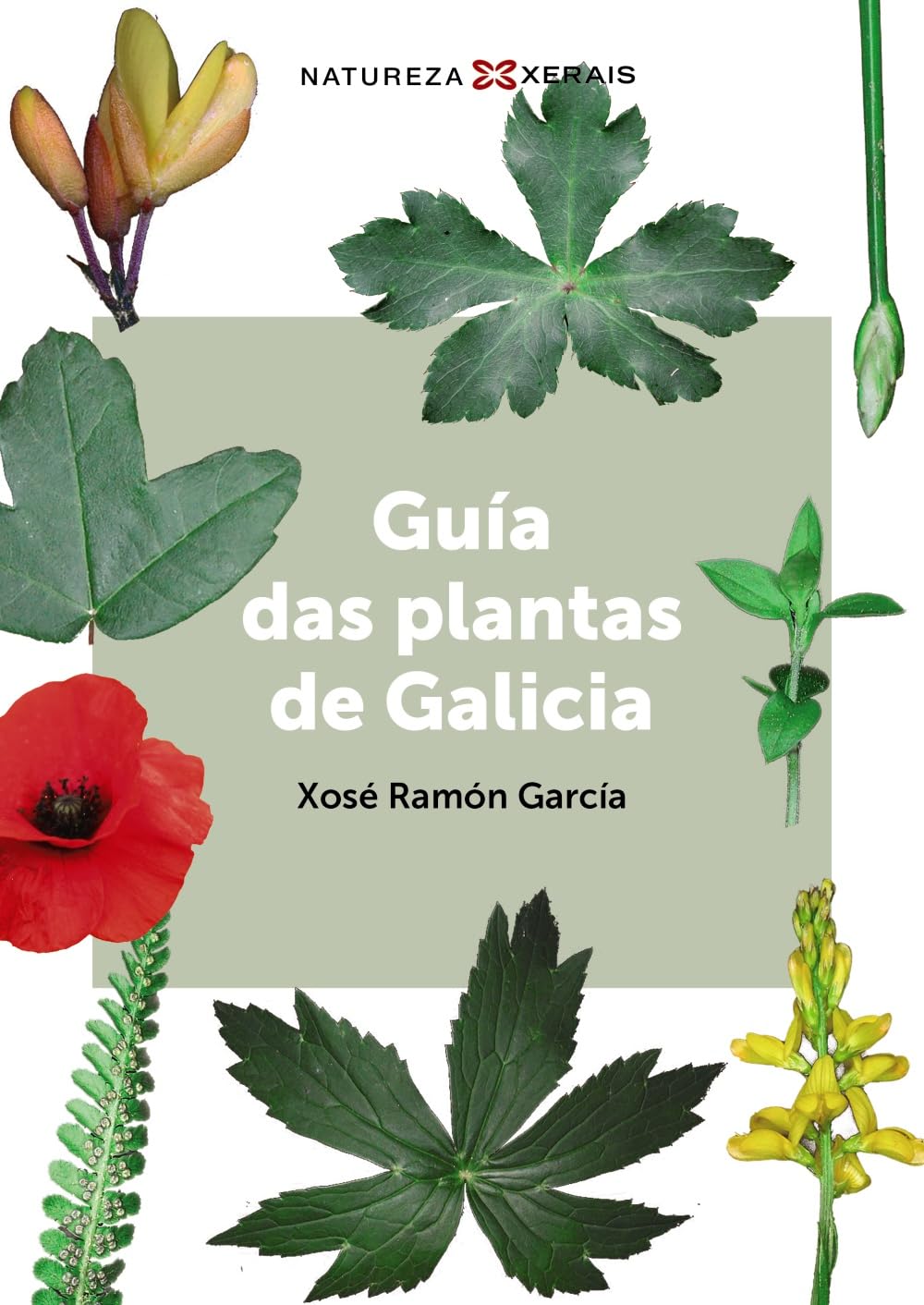 Libro: Guía das plantas de Galicia