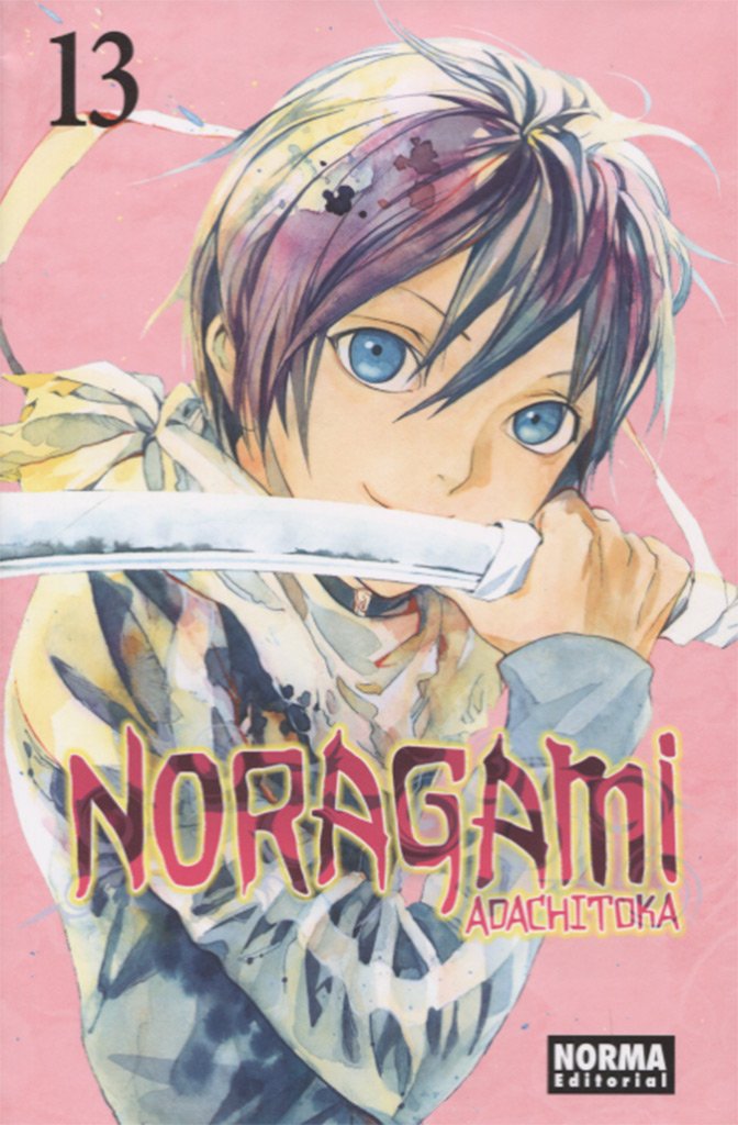 Libro: Noragami 13