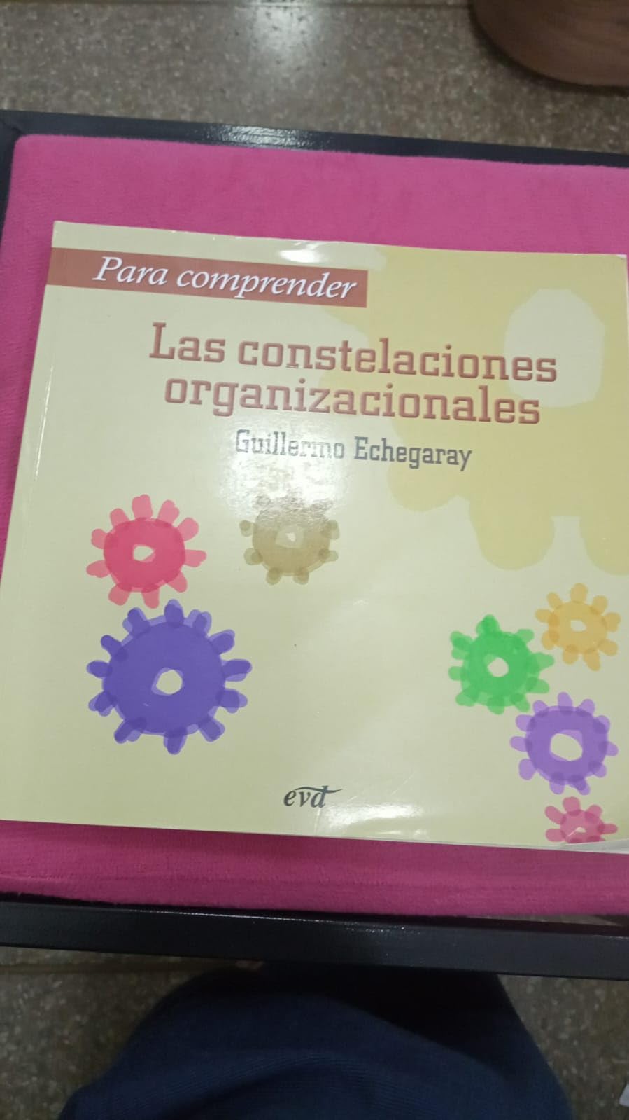 Libro: Para comprender las constelaciones organizacionales