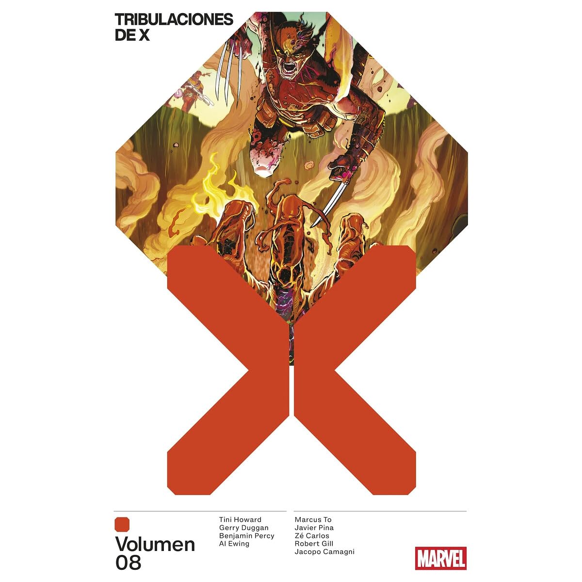 Libro: Tribulaciones de X 8