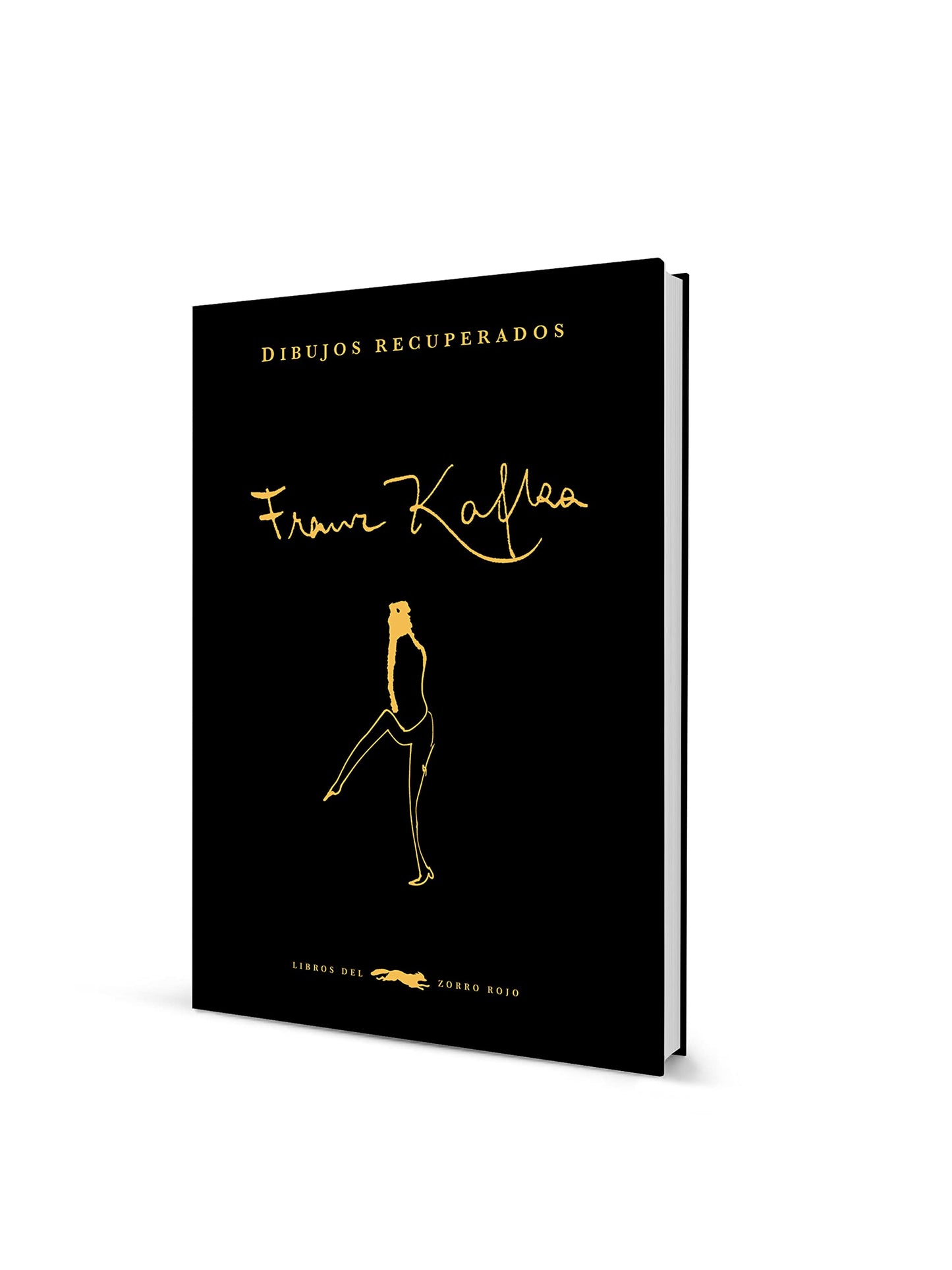 Libro: Dibujos recuperados (SIN COLECCION)