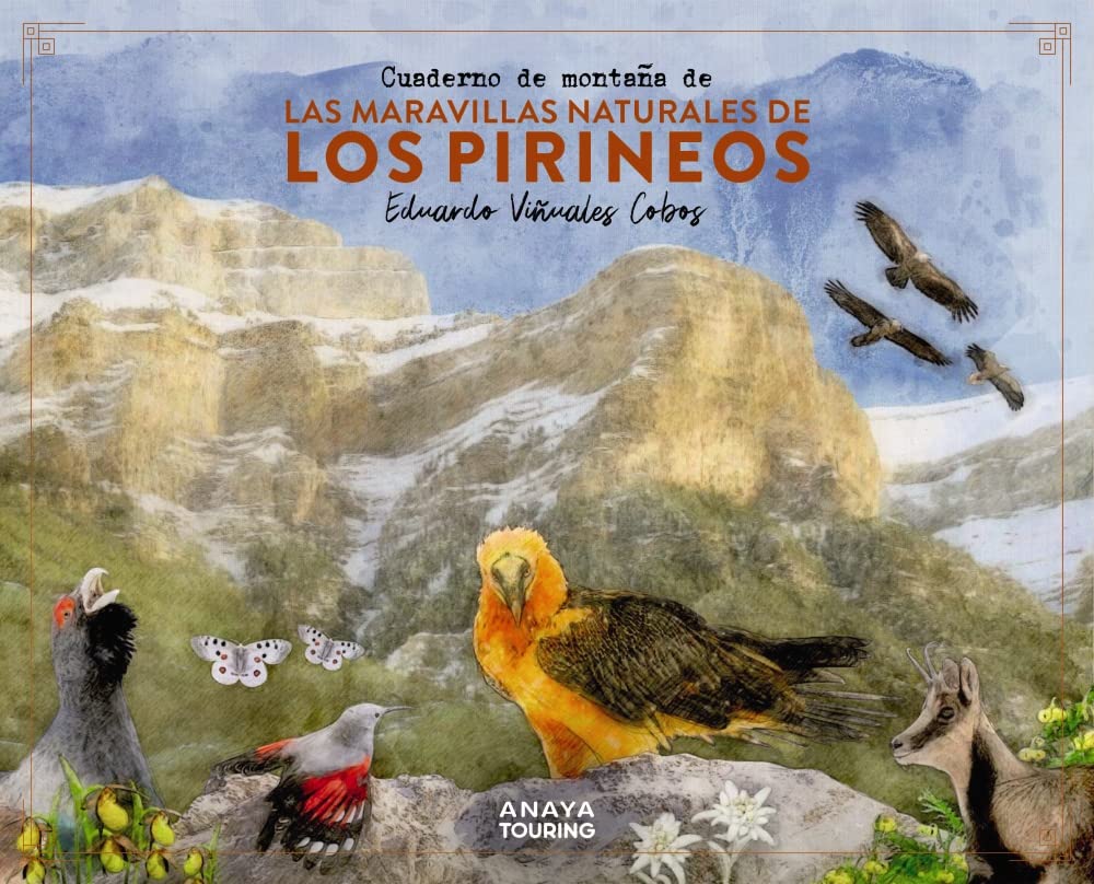 Libro: Cuaderno de montaña de las maravillas naturales de los Pirineos (Guías Singulares)