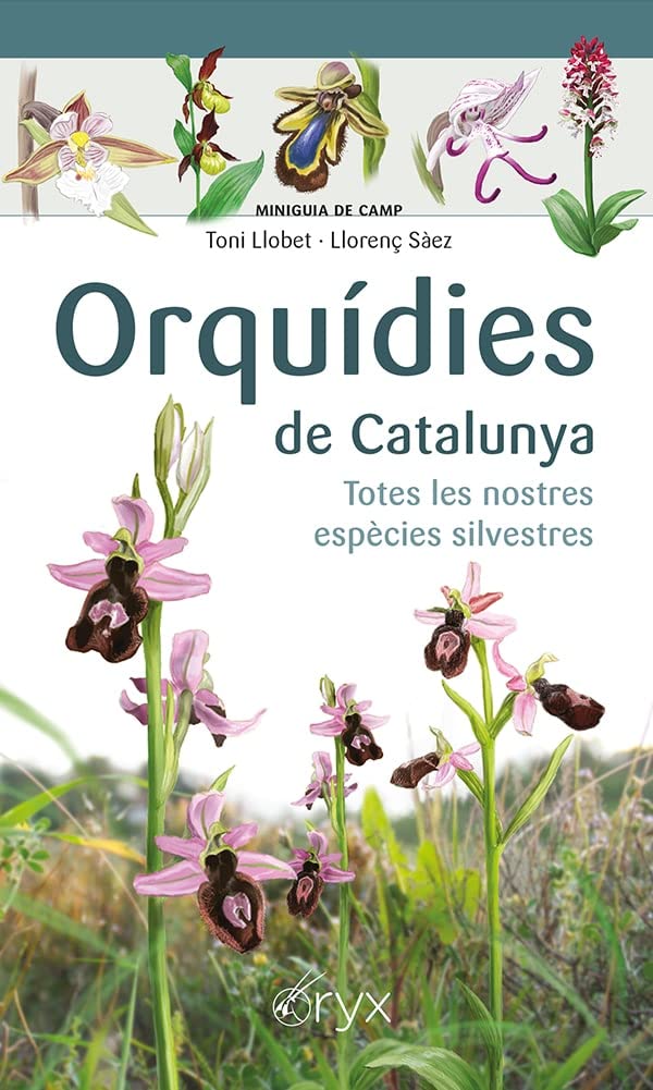 Libro: Orquidies De Catalunya: Totes les nostres espècies silvestres (Miniguia de camp)