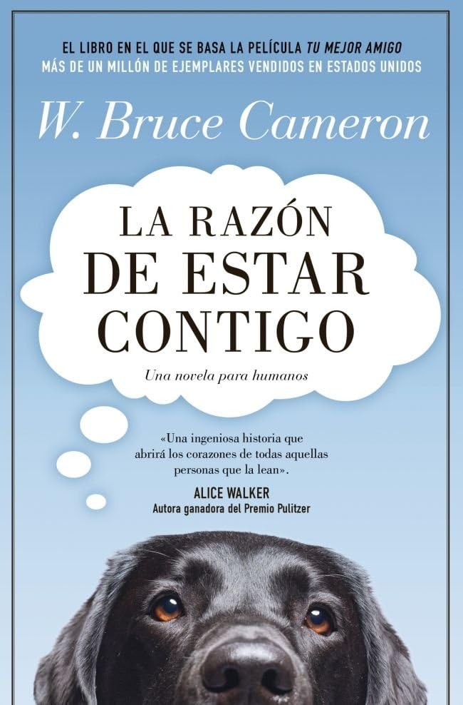 Libro: La razón de estar contigo 1 - La razón de estar contigo: La novela en la que se basó la película Tu mejor amigo