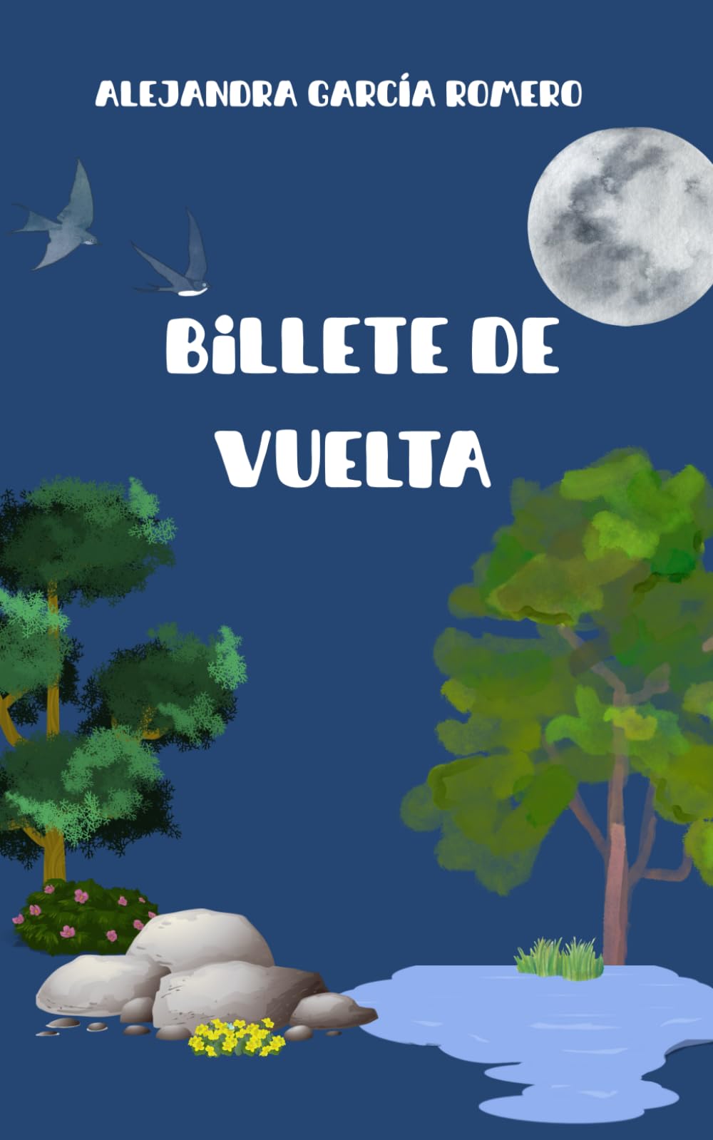 Libro: Billete de vuelta