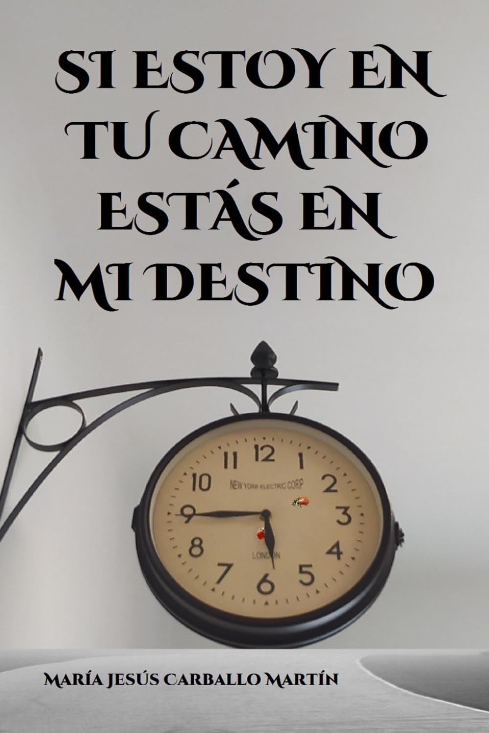 Libro: SI ESTOY EN TU CAMINO ESTÁS EN MI DESTINO (ENCUENTRA PRIMERO EL REINO Y LO DEMÁS TE SERÁ DADO POR AÑADIDURA) (Spanish Edition)