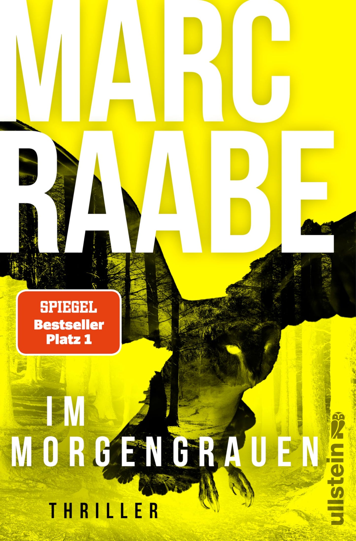 Libro: Im Morgengrauen: Thriller | Der neue Thriller von Bestsellerautor Marc Raabe!: 4