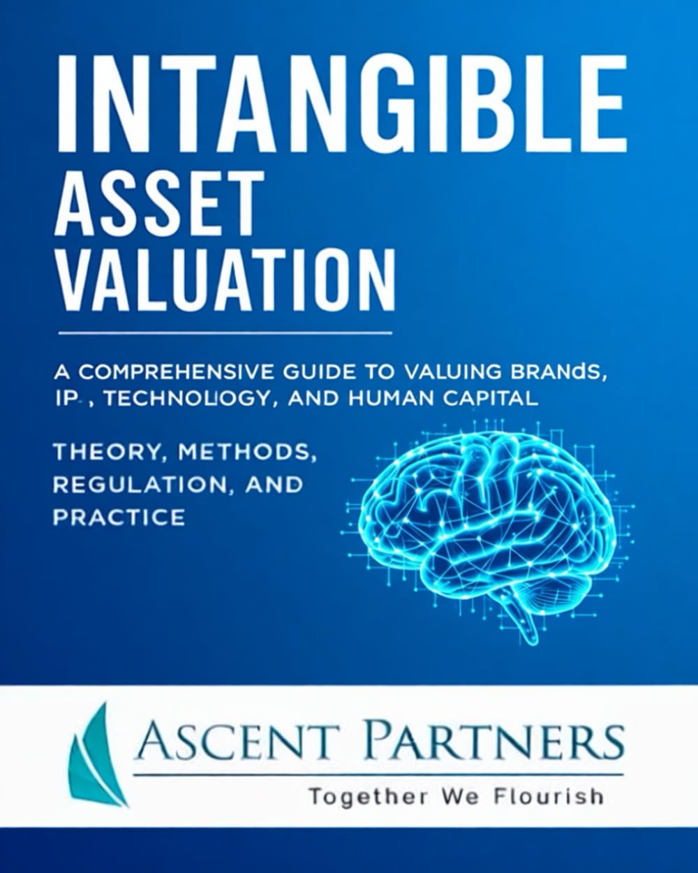 Libro: Intangible Asset Valuation: A Comprehensive Guide to Valuing Brands, IP, Technology, and Human Capital: Theory, Methods, Regulation, and Practice (Valuation in Practice)