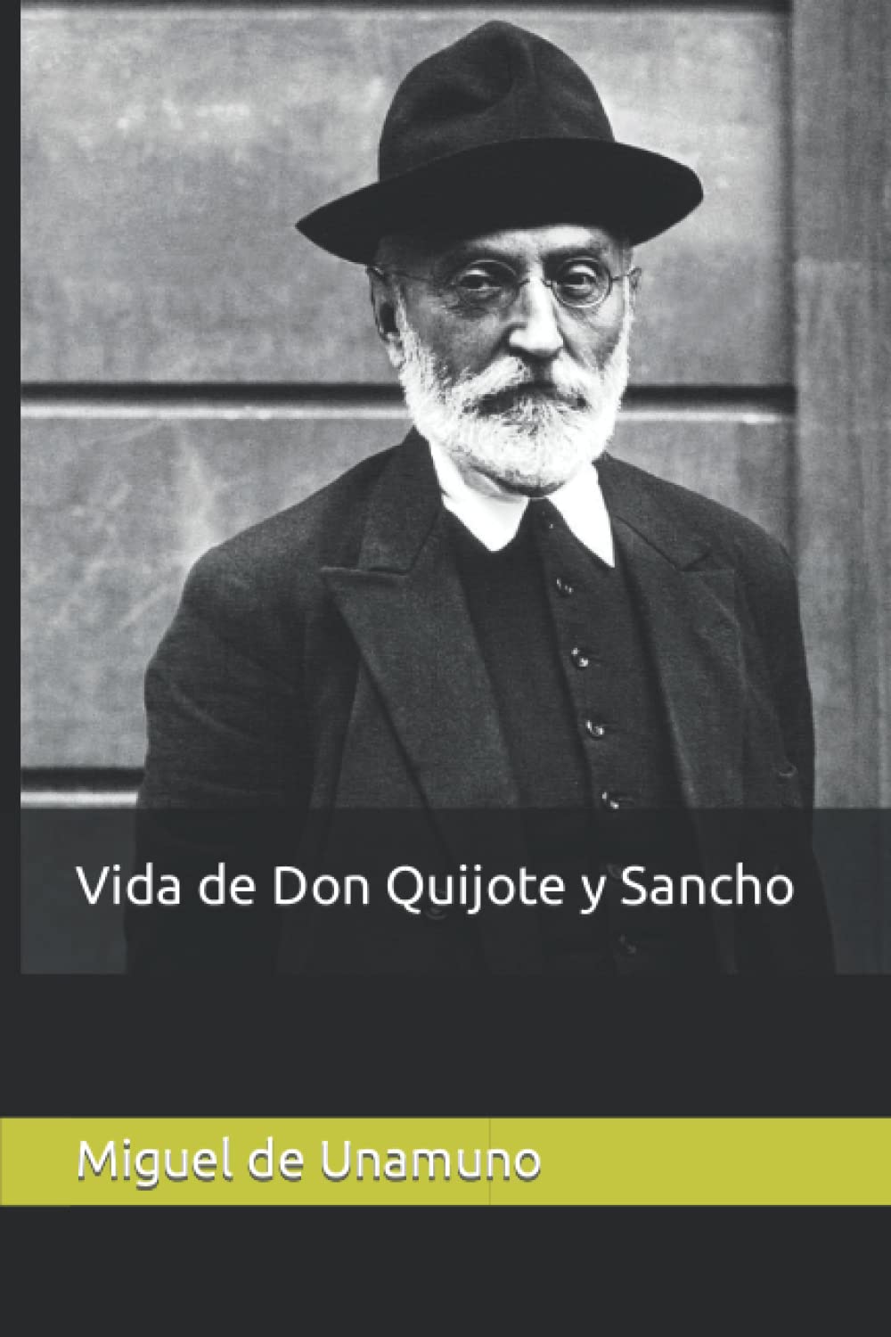 Libro: Vida de Don Quijote y Sancho