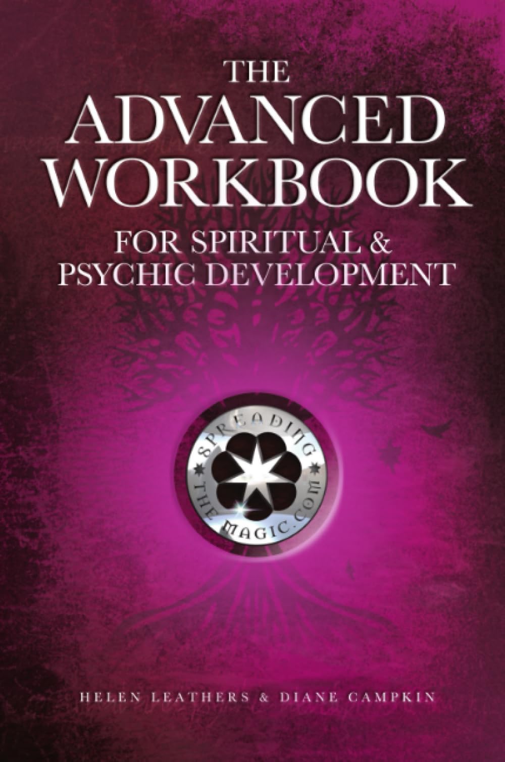 Libro: The Advanced Workbook For Spiritual & Psychic Development