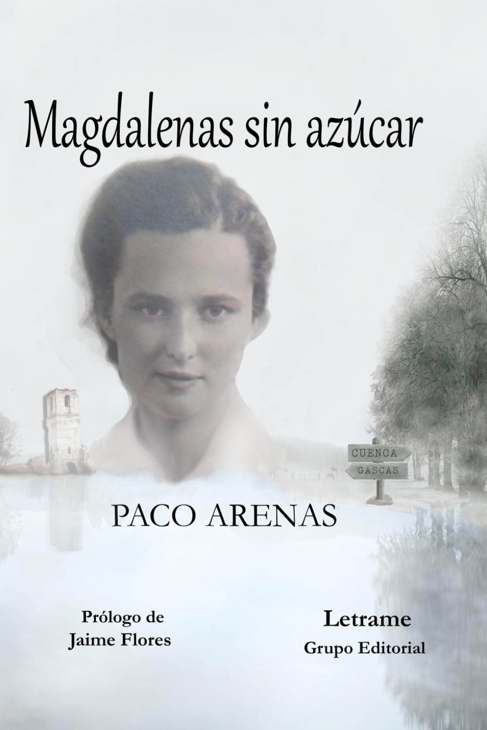 Libro: Magdalenas sin azúcar (Novela)