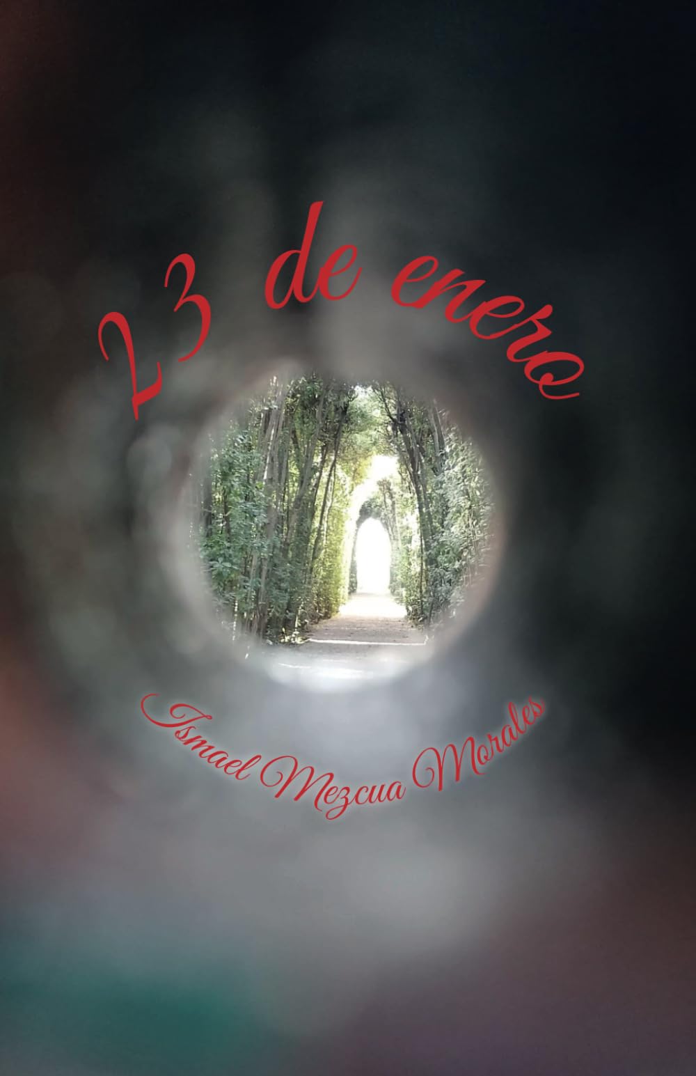 Libro: 23 de Enero (Spanish Edition)