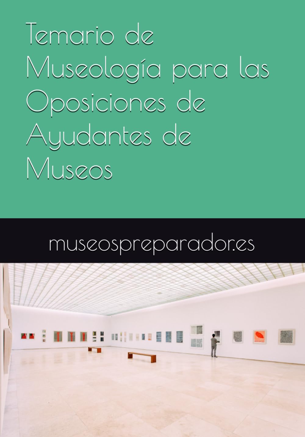 Libro: Temario de Museología para las Oposiciones de Ayudantes de Museos