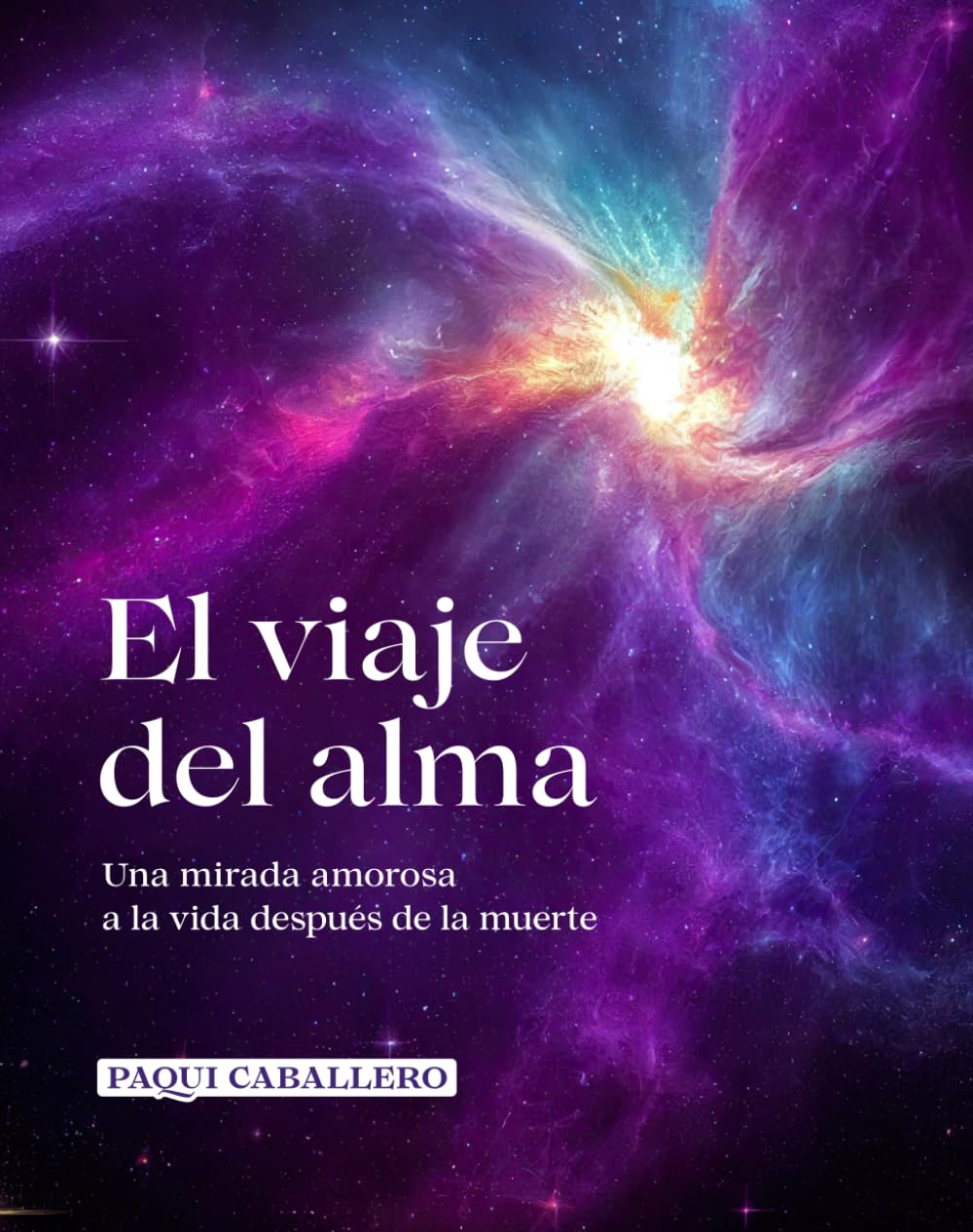 Libro: El viaje del alma: Una mirada amorosa a la vida después de la muerte