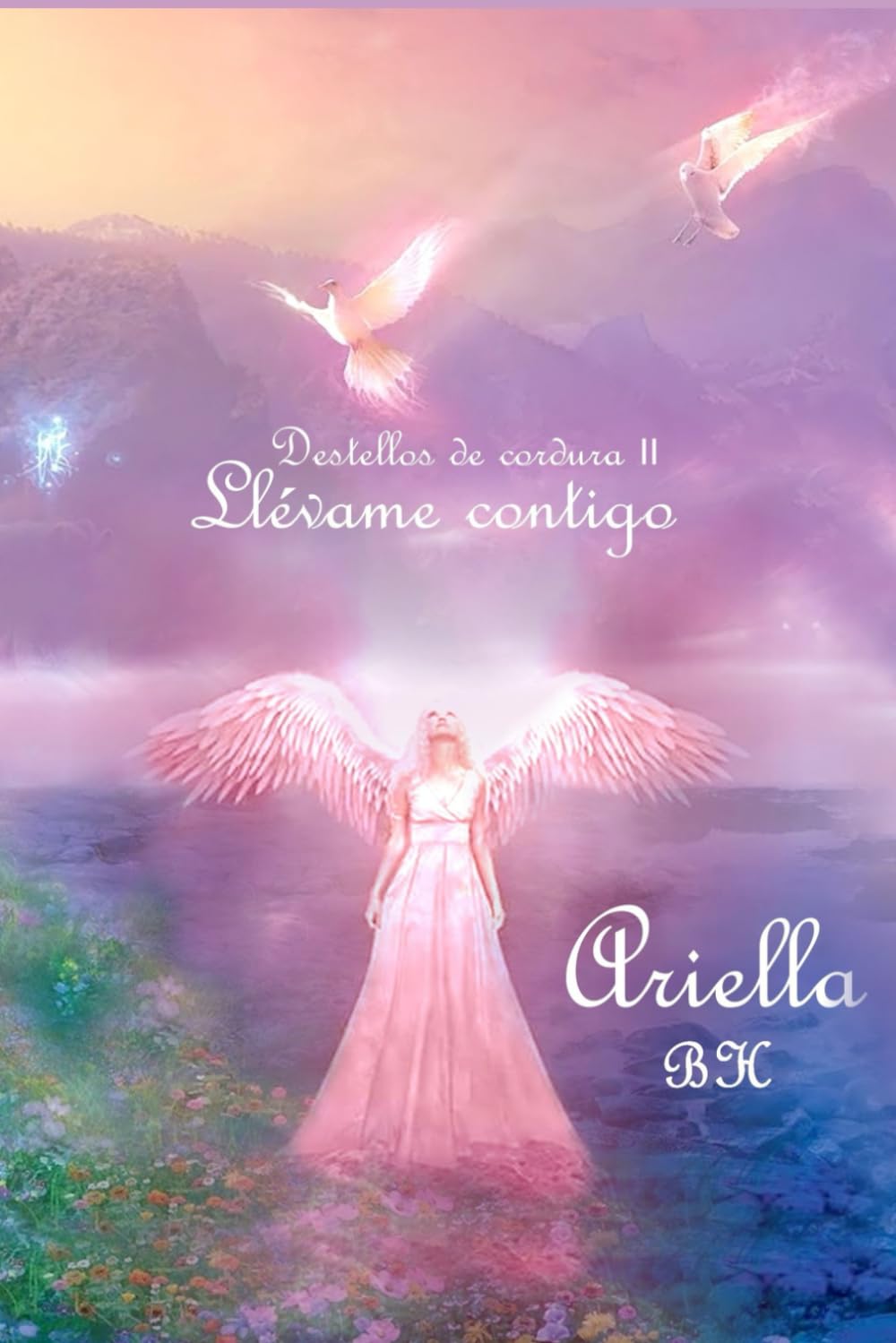 Libro: Llévame contigo: Destellos de cordura II (Spanish Edition)