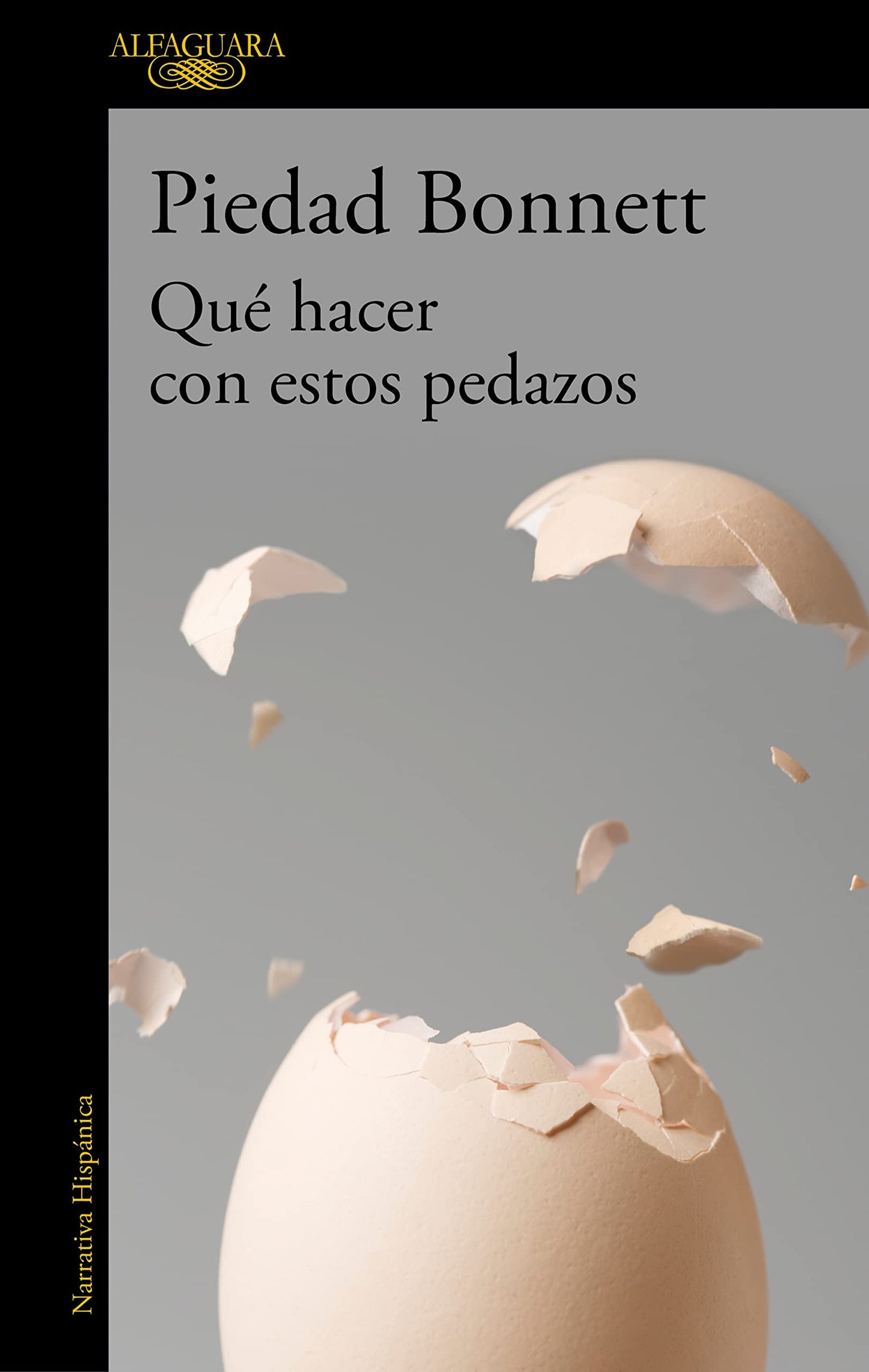Libro: Qué hacer con estos pedazos (Hispánica)