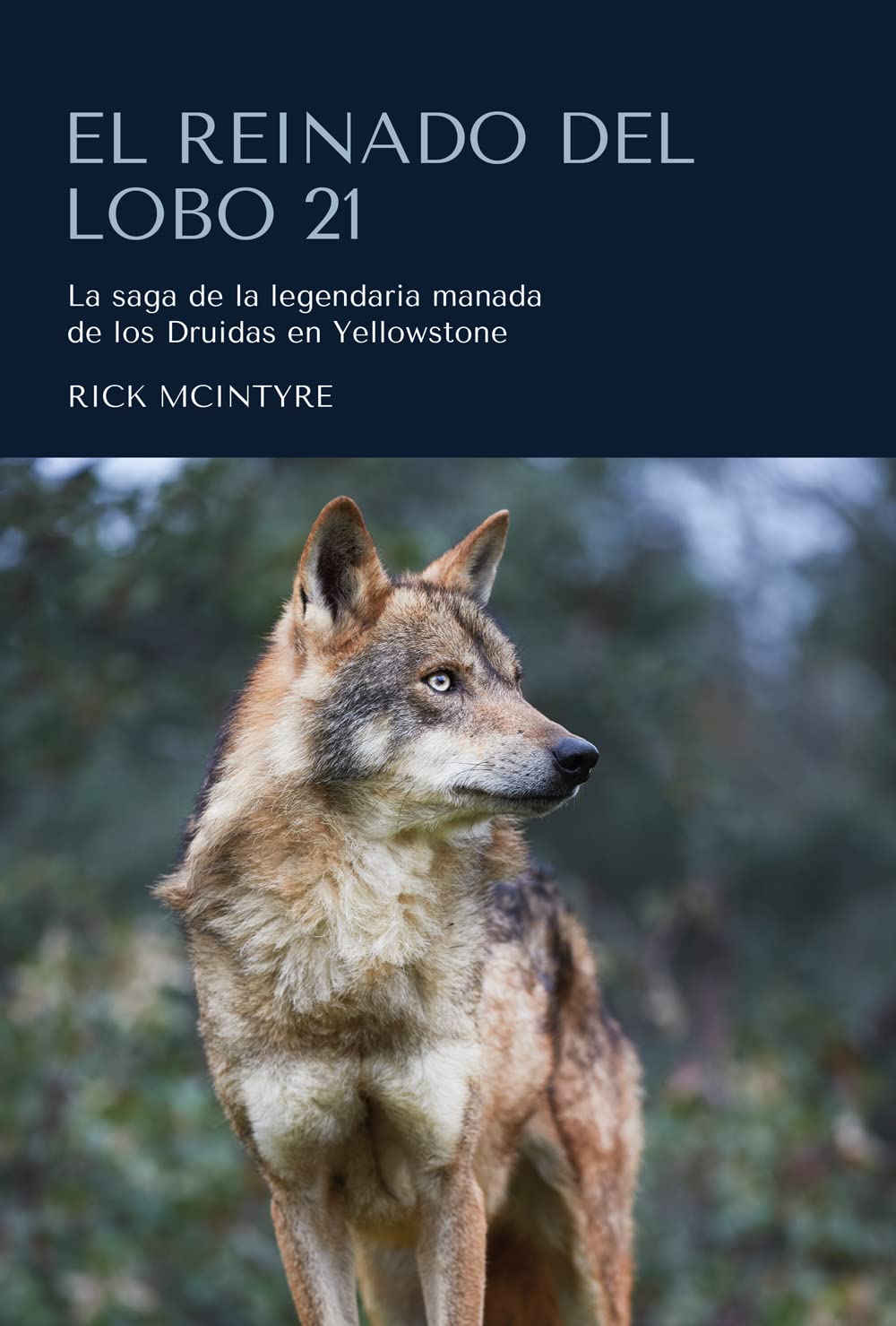 Libro: El Reinado del Lobo 21: La saga de la legendaria manada de los Druidas en Yellowstone (Colección naturaleza salvaje)