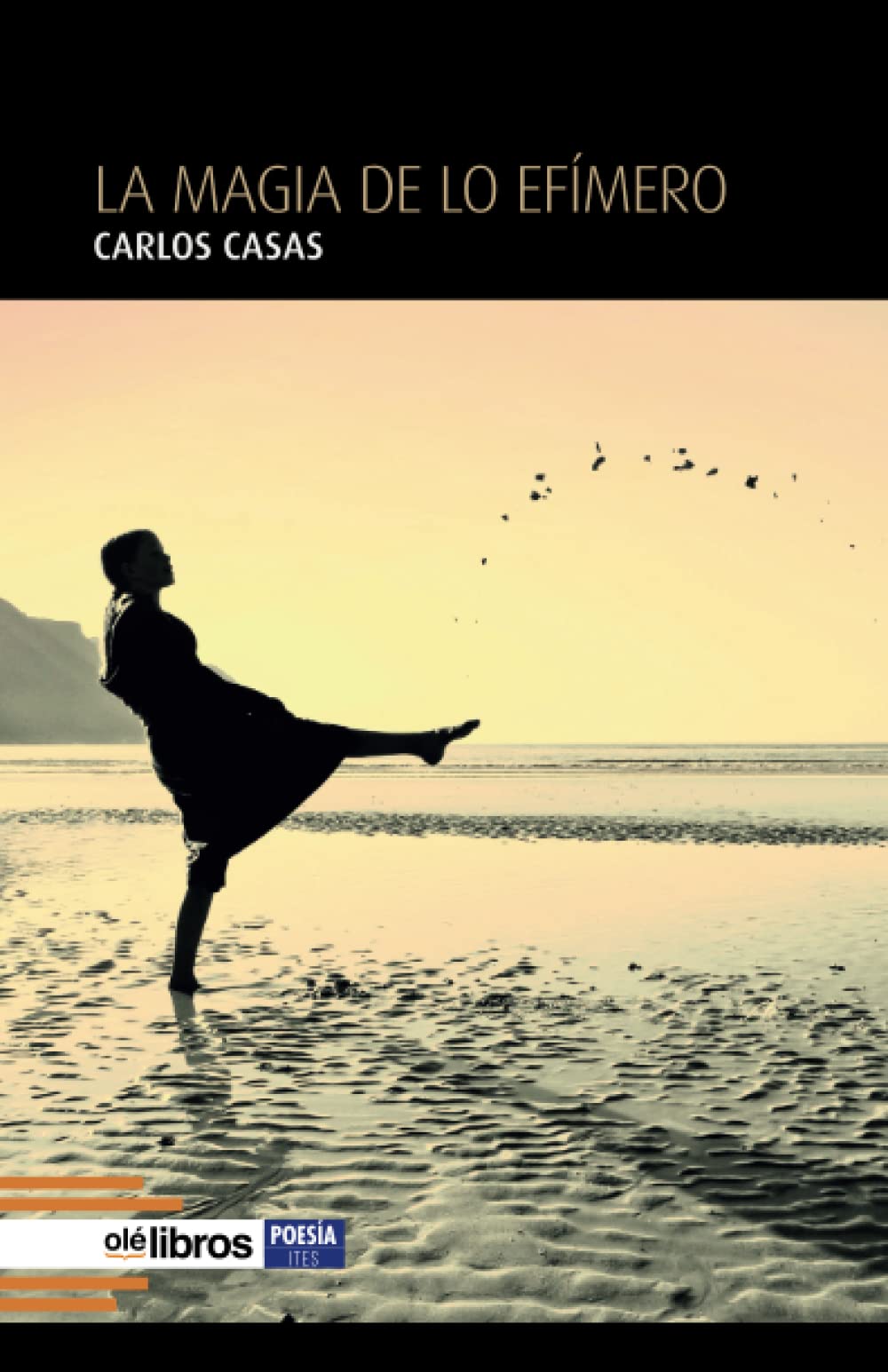 Libro: LA MAGIA DE LO EFÍMERO