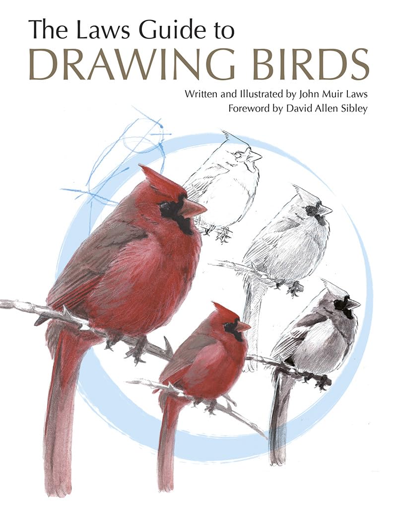 Libro: The Laws Guide to Drawing Birds
