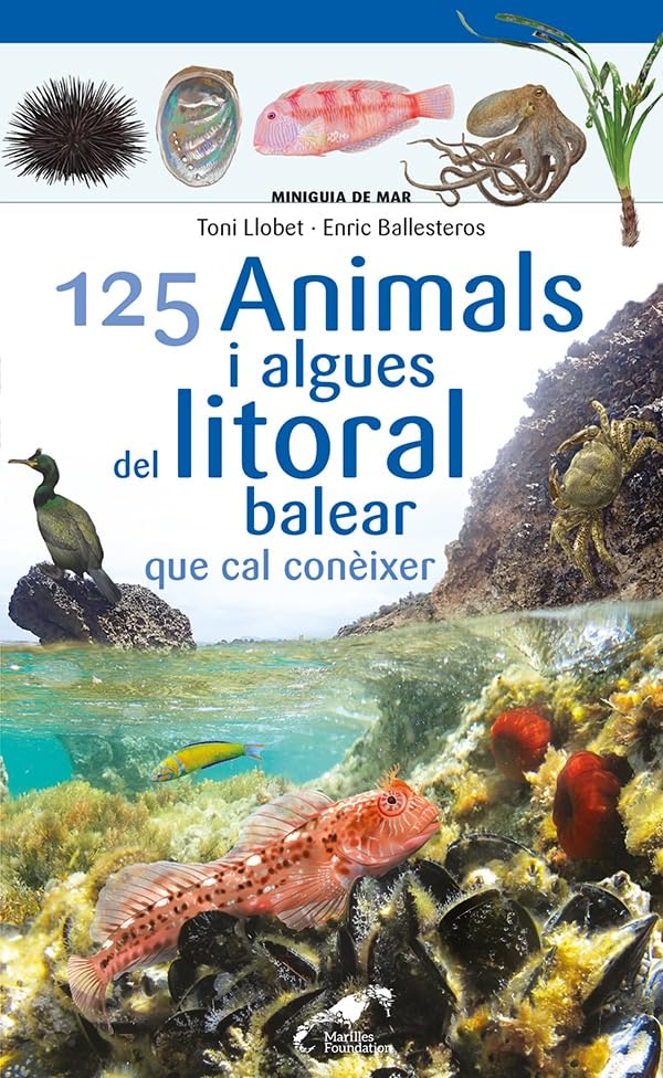 Libro: 125 Animals i algues del litoral balear que cal conèixer
