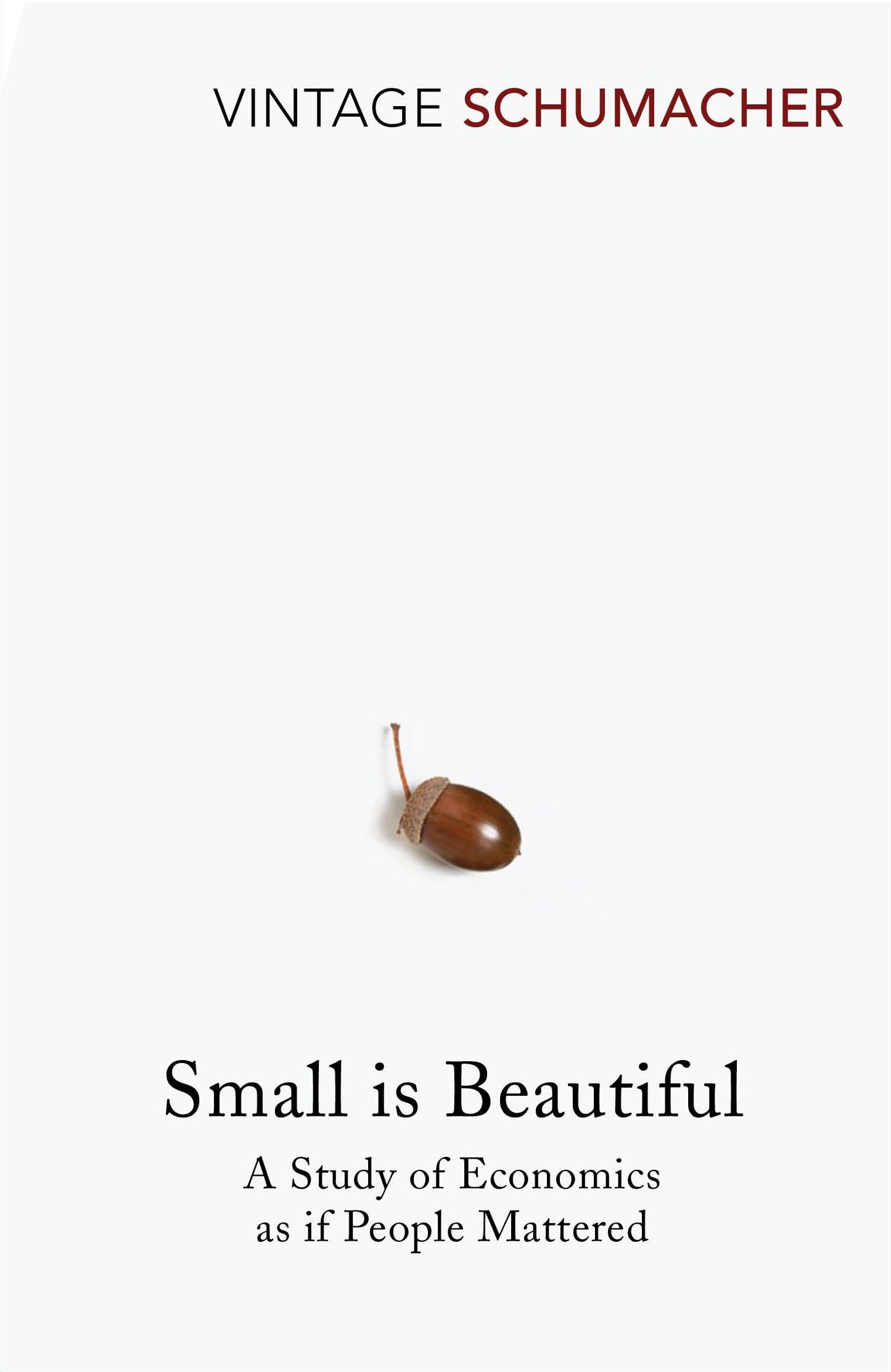 Libro: Small Is Beautiful: The classic call for human-scale economics which is now more relevant than ever (Vintage classics)