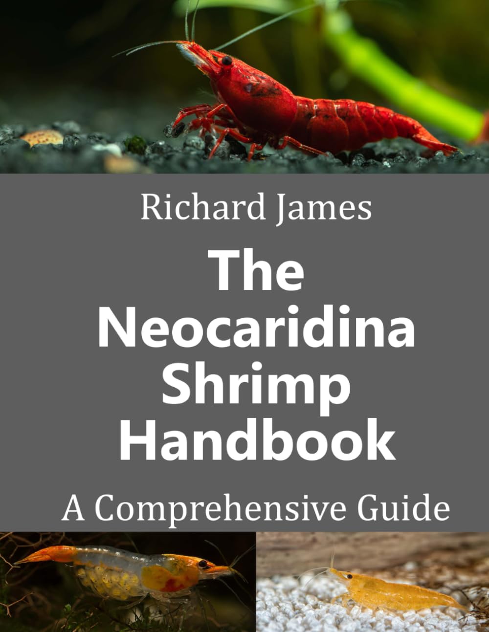 Libro: The Neocaridina Shrimp Handbook: A complete guide to Cherry Shrimp