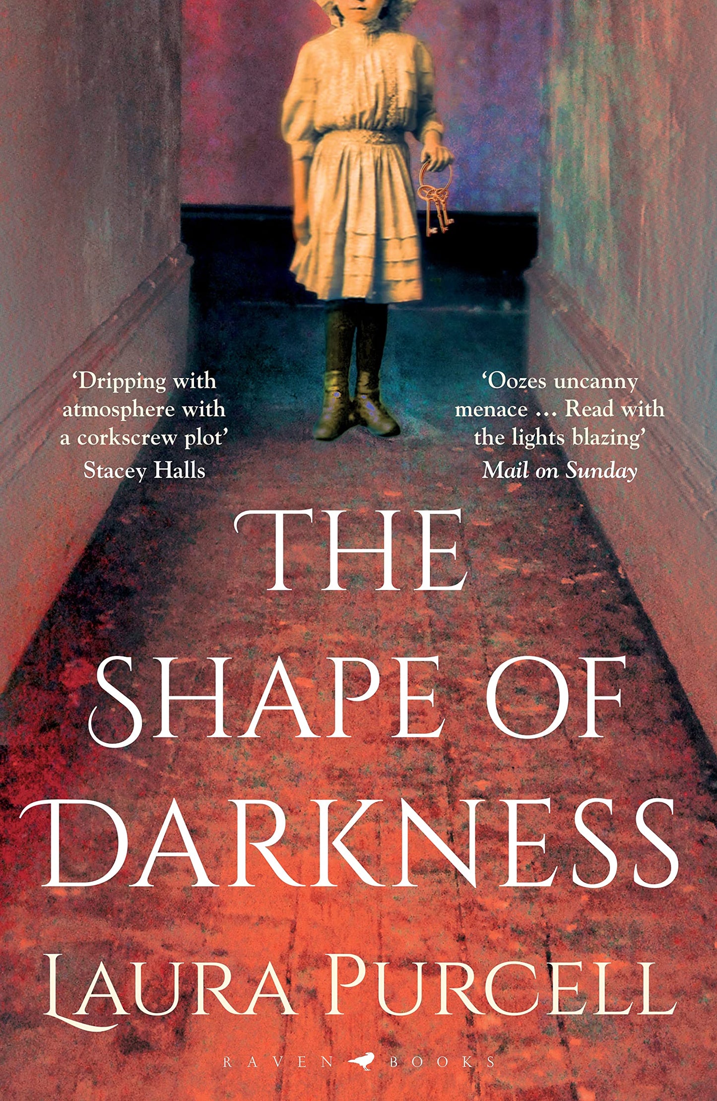 Libro: The Shape of Darkness: 'A future gothic classic' Martyn Waites