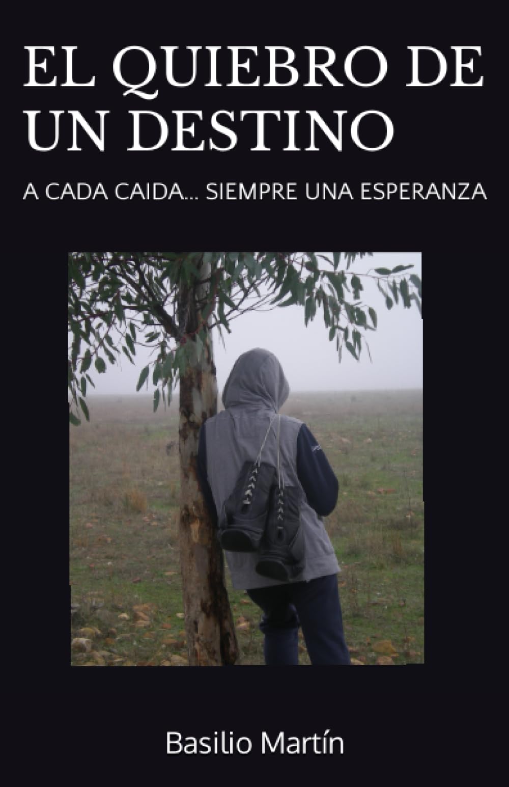 Libro: EL QUIEBRO DE UN DESTINO: A cada caida.. siempre una esperanza (Spanish Edition)