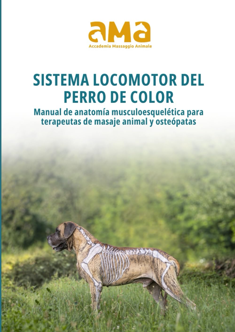 Libro: Sistema locomotor del perro de color: Manual de anatomía musculoesquelética para terapeutas de masaje animal y osteópatas