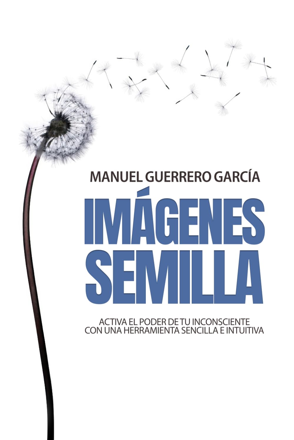 Libro: IMÁGENES SEMILLA: Activa el poder de tu inconsciente con una herramienta sencilla e intuitiva