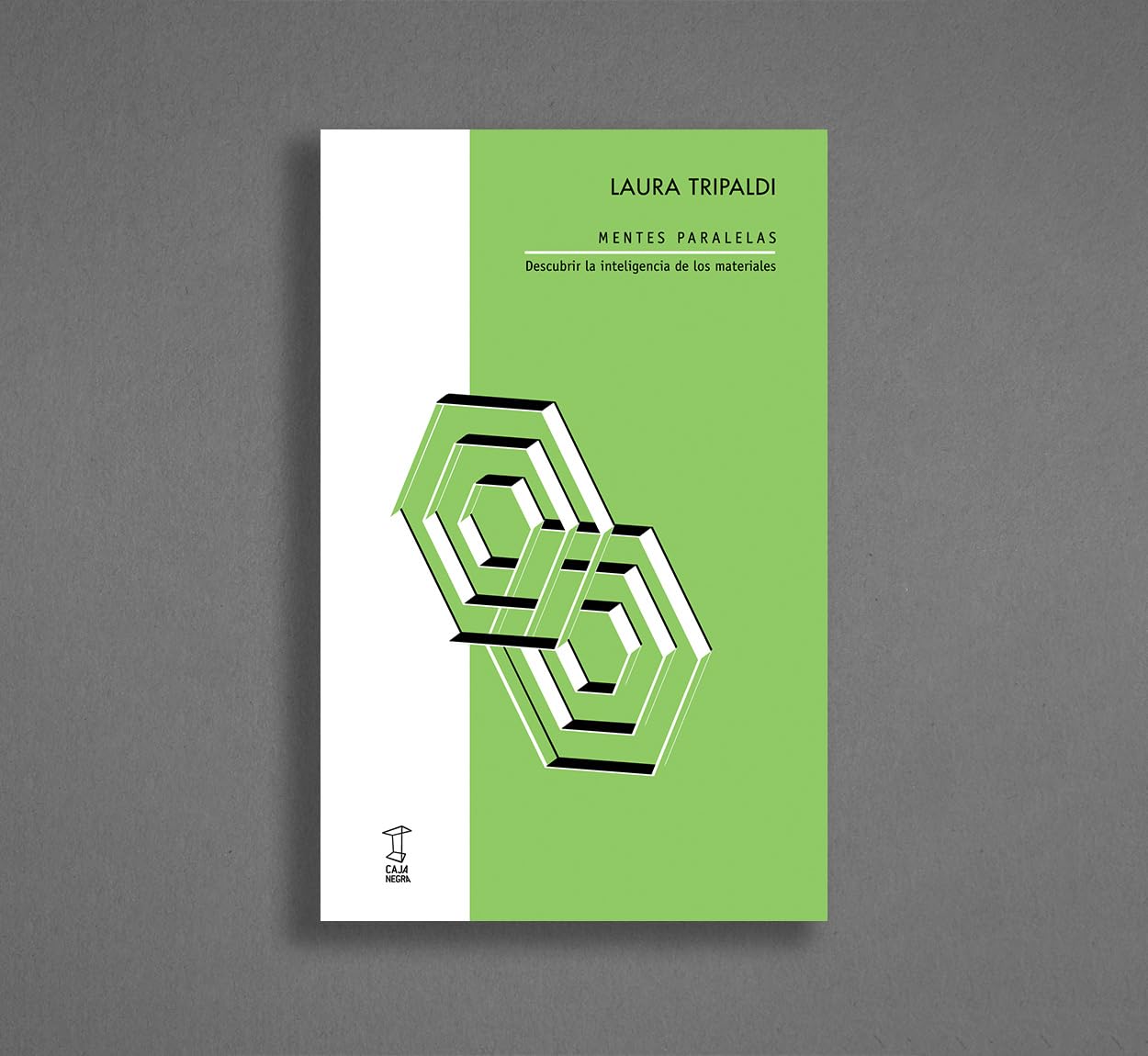 Libro: MENTES PARALELAS