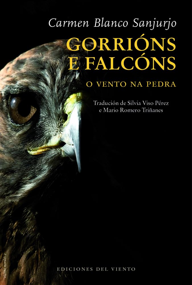 Libro: GORRIONS E FALCONS (VIENTO NORDES): O vento na pedra: 2