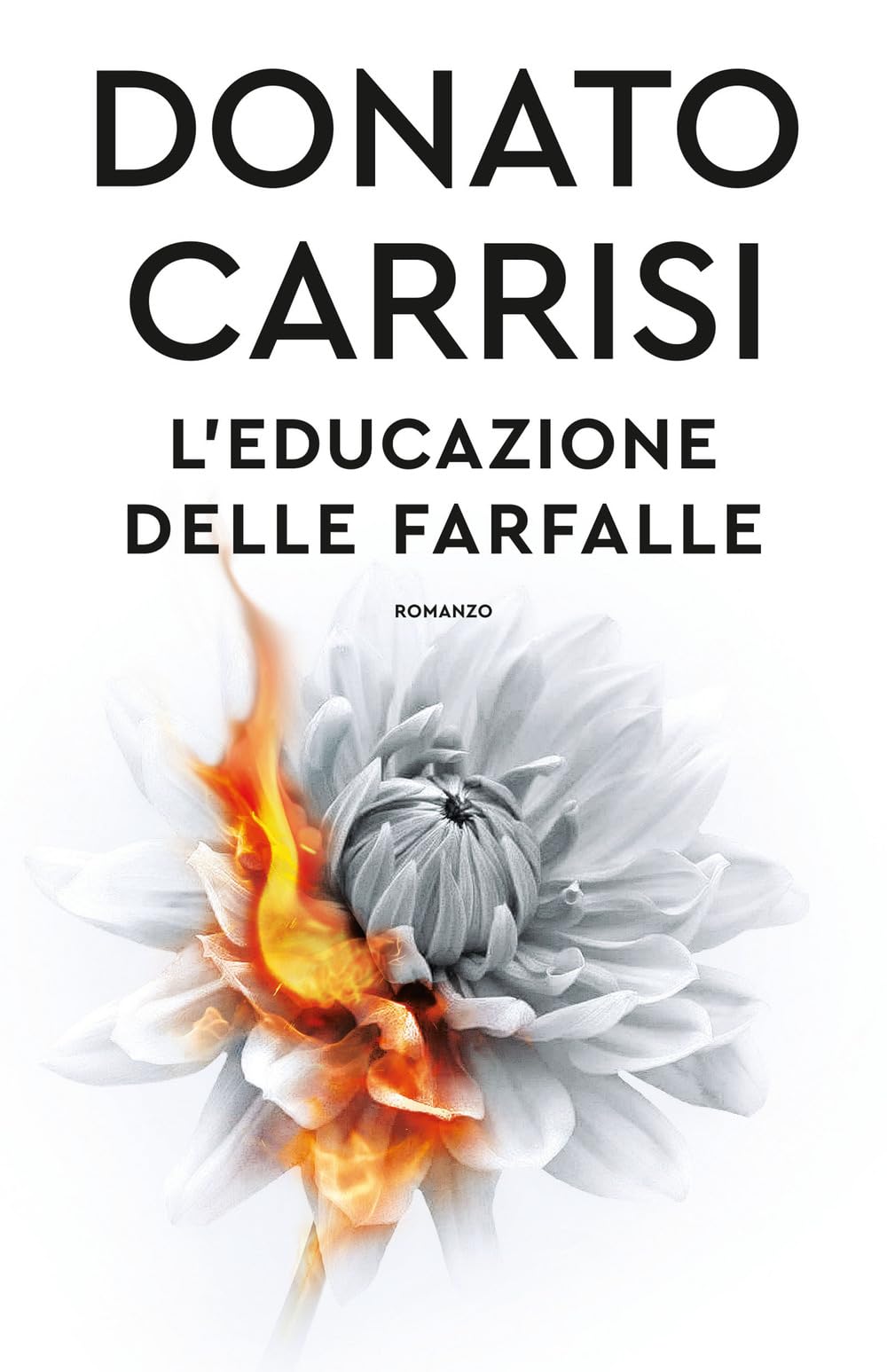 Libro: L'educazione delle farfalle (Tea. Superpocket)