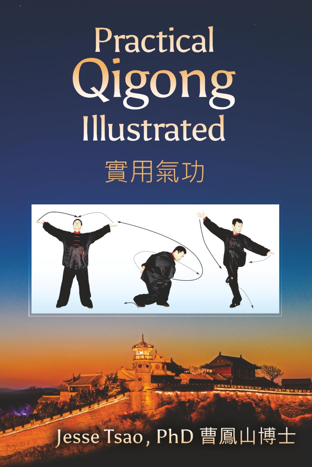 Libro: Practical Qigong Illustrated