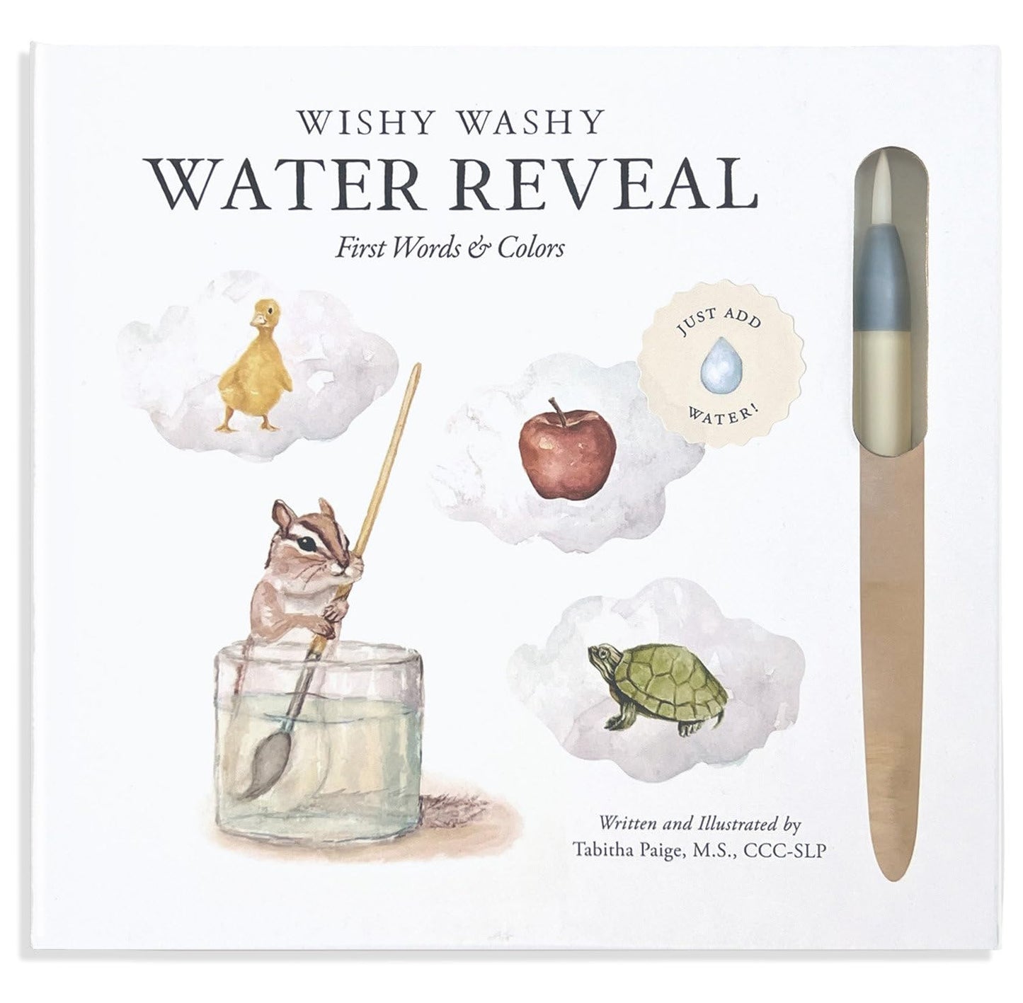 Libro: Wishy Washy (Water Reveal Edition): A Reusable Water Reveal Activity Book Teaching First Words and Colors (Tabitha Paige Children's Book Series)