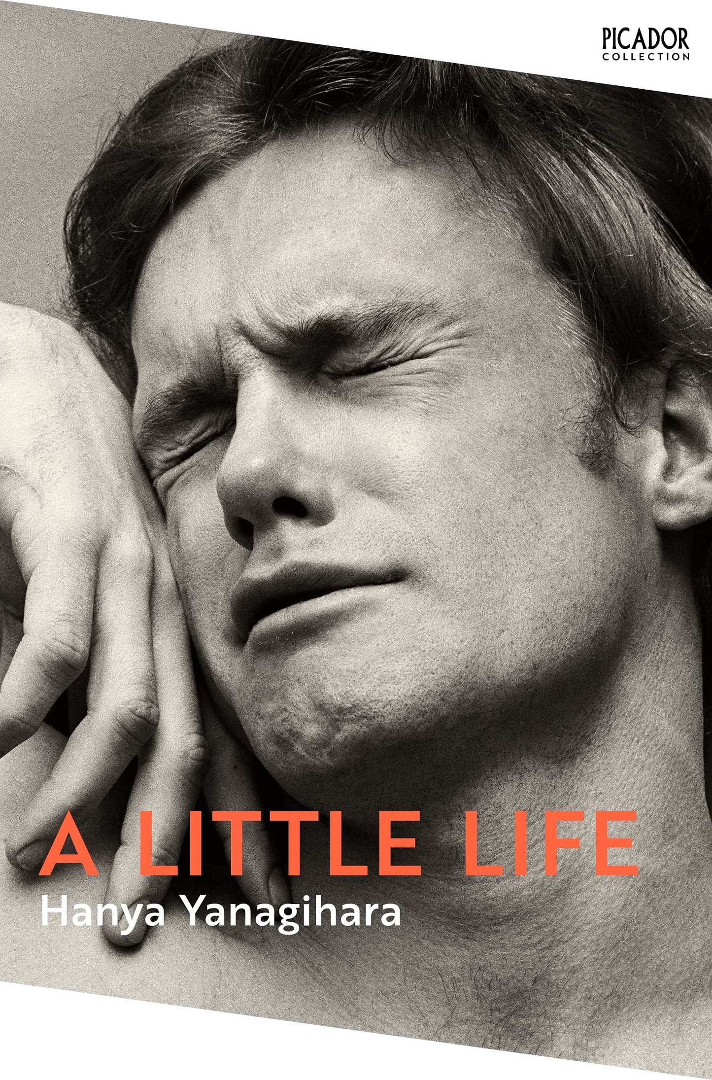 Libro: A Little Life: The Million-Copy Bestseller (Picador Collection)