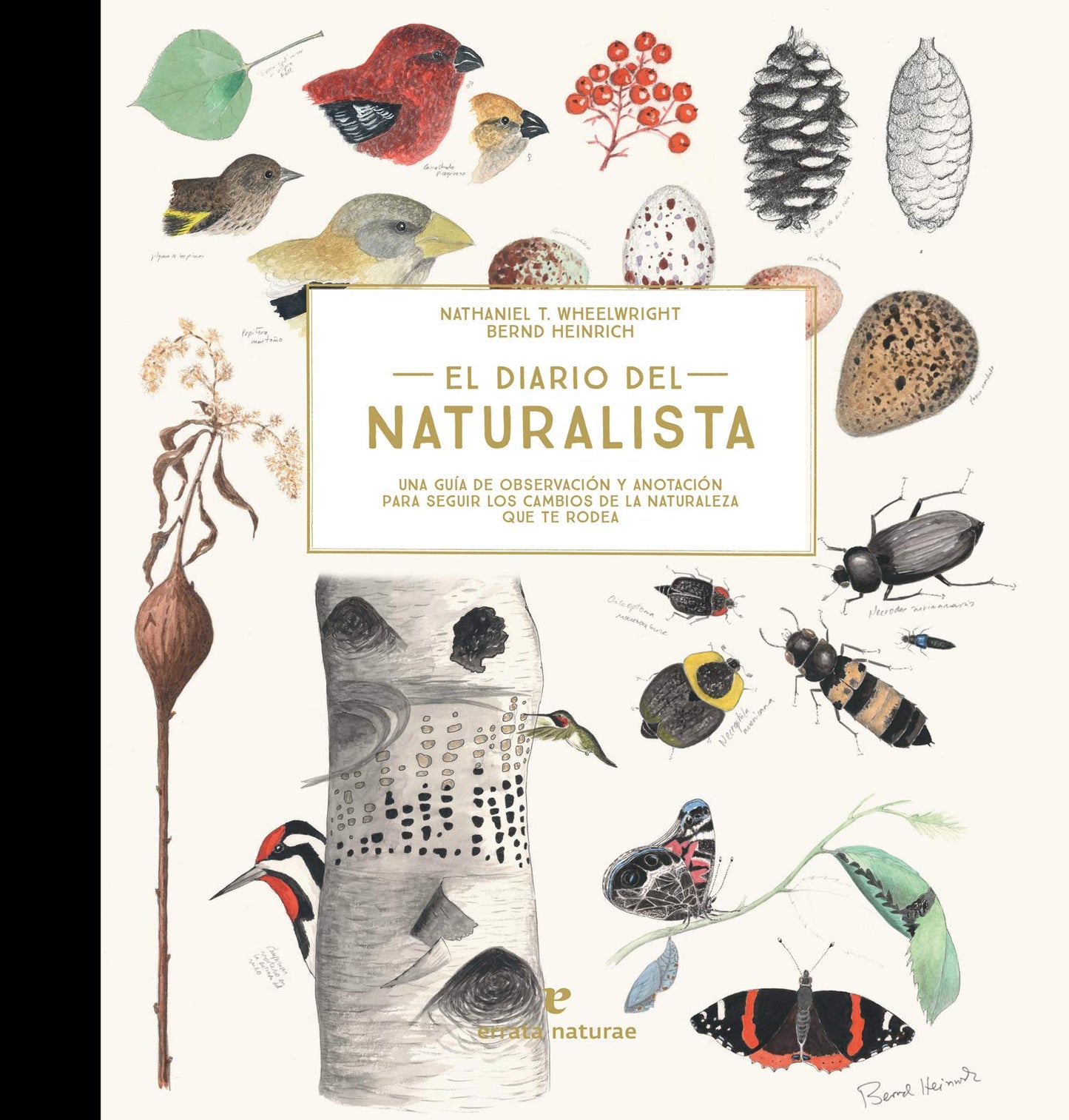 Libro: El diario del naturalista: Una guía de observación y anotación para seguir los cambios de la naturaleza que te rodea