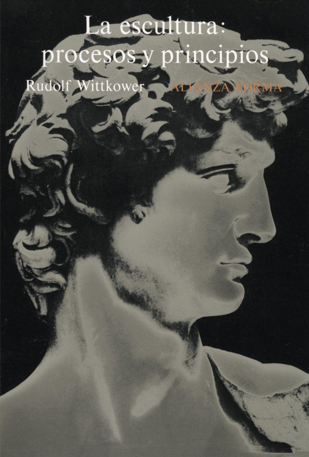 Libro: La escultura: procesos y principios (Alianza forma (AF))