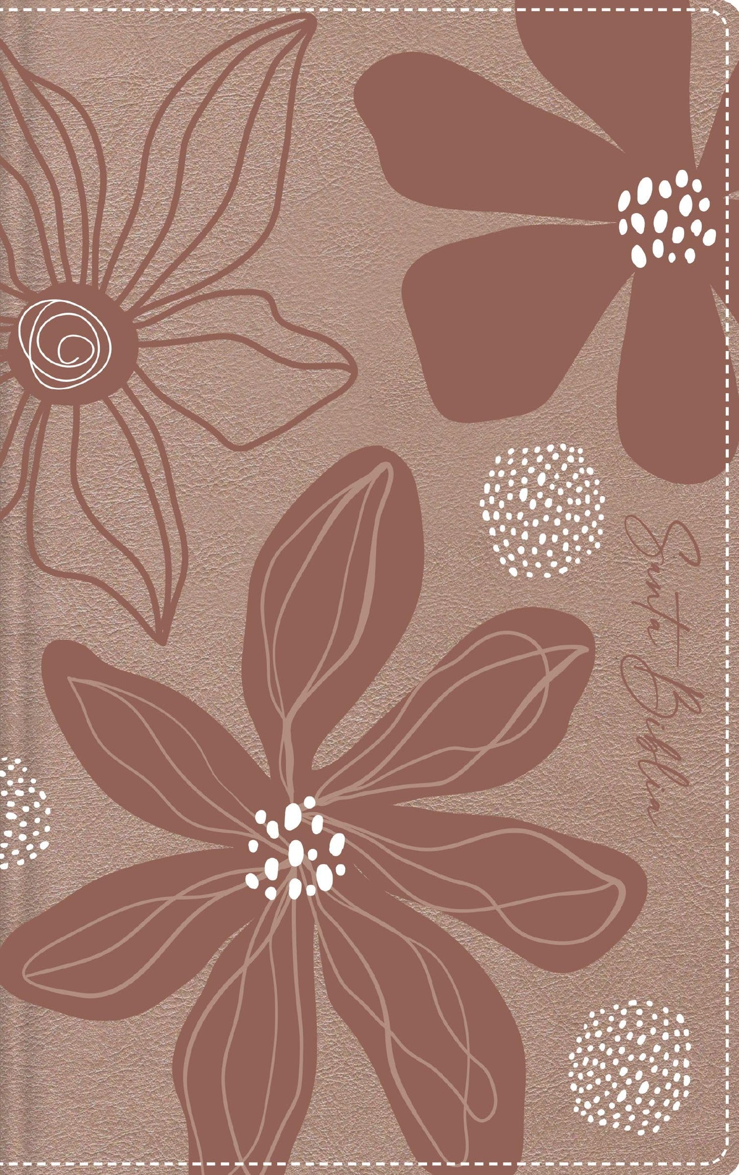 Libro: RVR60, Biblia de Estudio para Jóvenes Adolescentes, Leathersoft, Oro Rosa, Palabras de Jesús en Rojo, Comfort Print: Reina-Valera 1960, Estudio para jóvenes, Oro Rosa, Leathersoft, Comfort Print