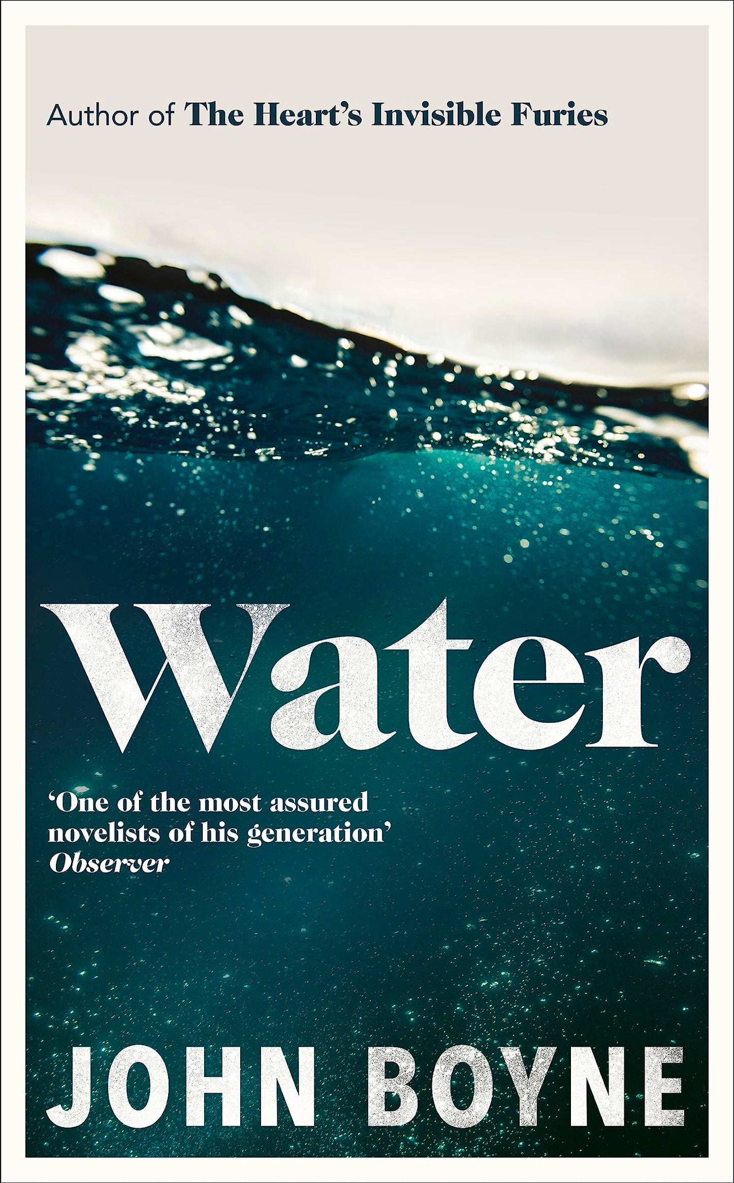 Libro: Water: A haunting, confronting novel from the author of The Heart’s Invisible Furies (International Edition)