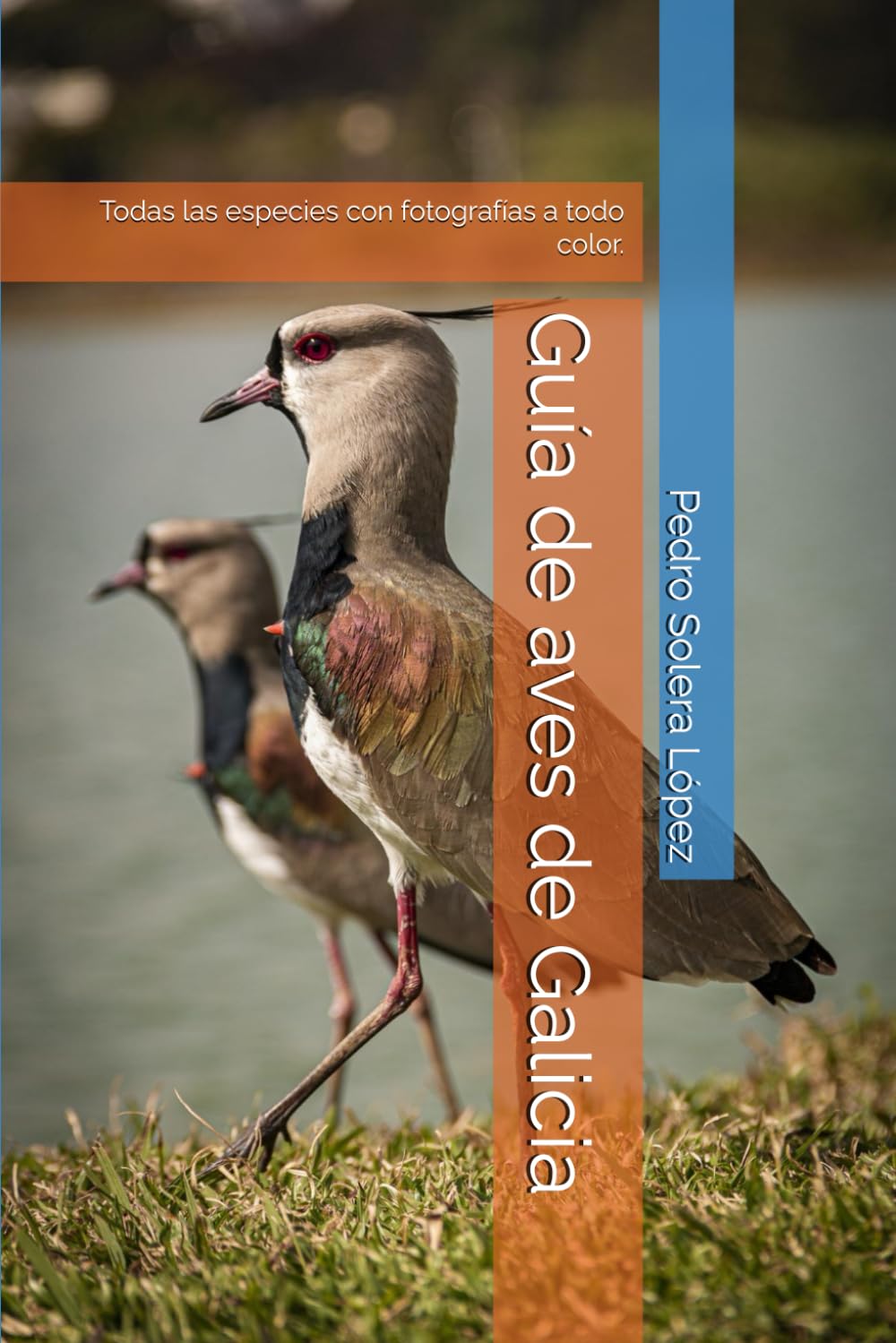 Libro: Guía de aves de Galicia: Todas las especies con fotografías a todo color. (Spanish Edition)