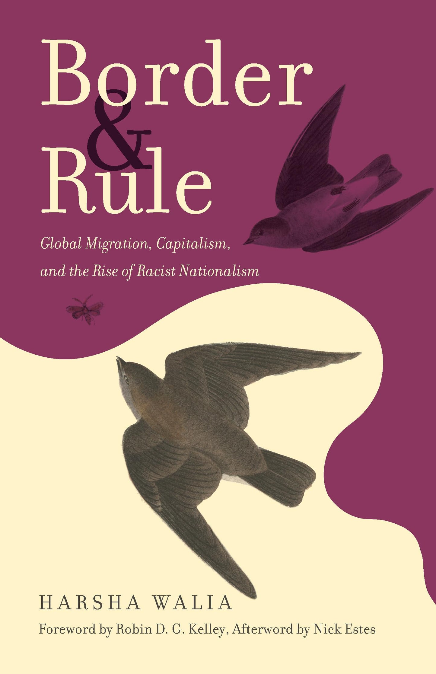 Libro: Border and Rule: Global Migration, Capitalism, and the Rise of Racist Nationalism