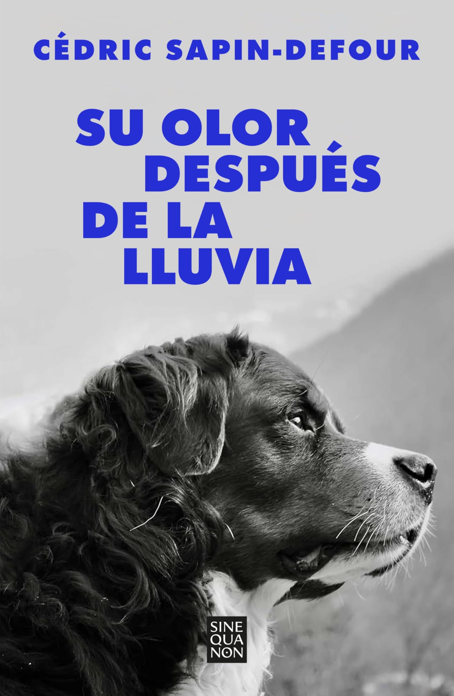 Su olor después de la lluvia (Sine Qua Non)