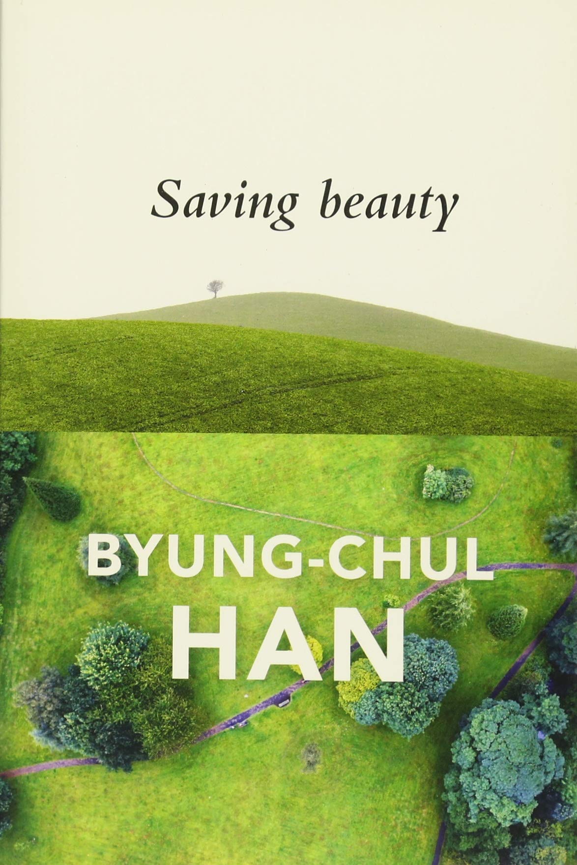 Libro: Saving Beauty