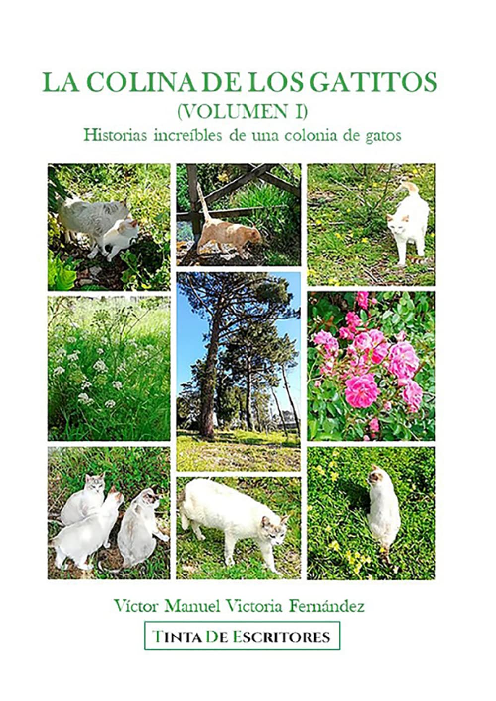 Libro: LA COLINA DE GATITOS: (VOLUMEN I ): Historias increíbles de una colonia de gatos (Spanish Edition)