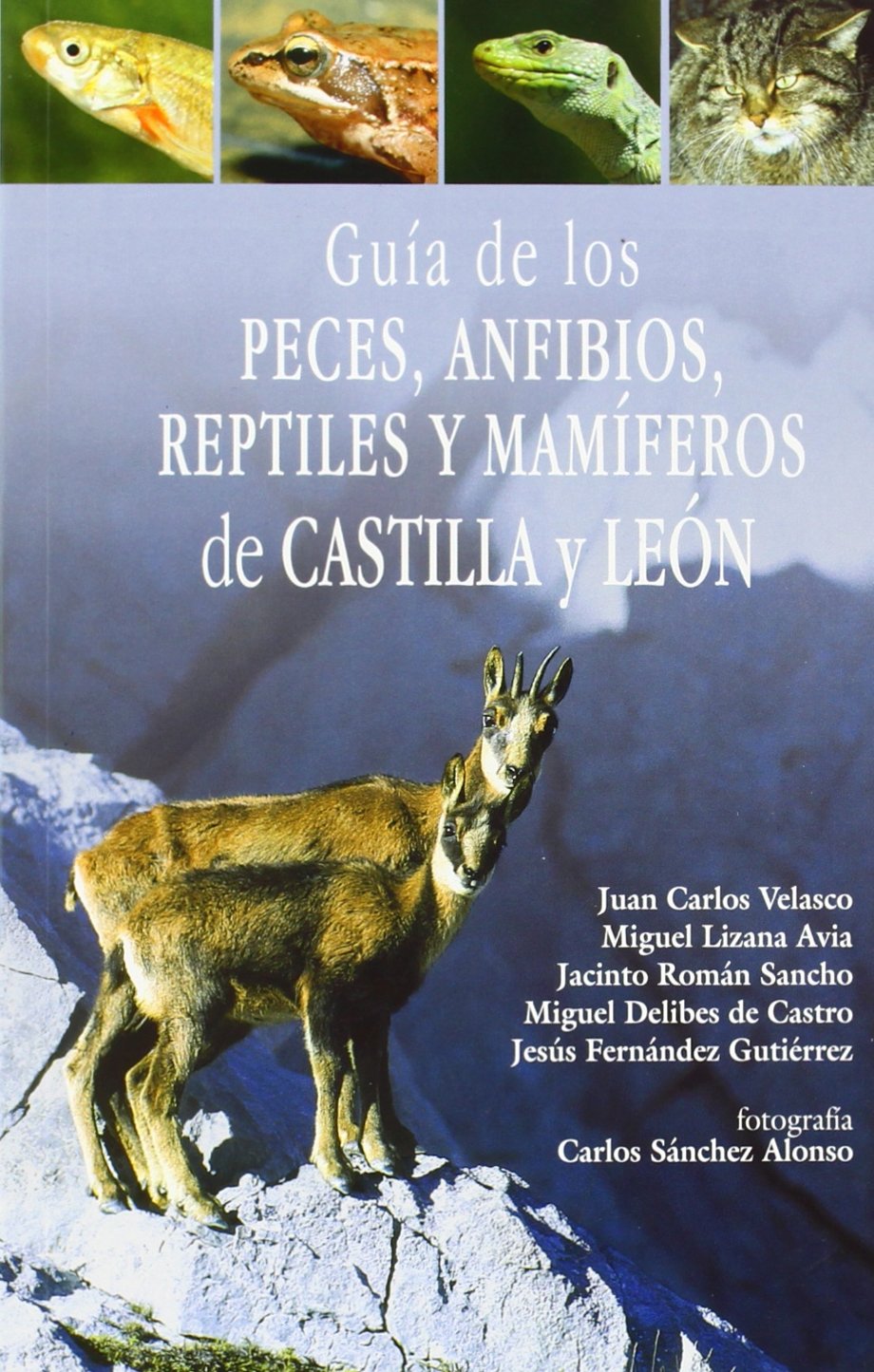 Libro: Guía de los peces, anfibios, reptiles y mamíferos de Castilla y León